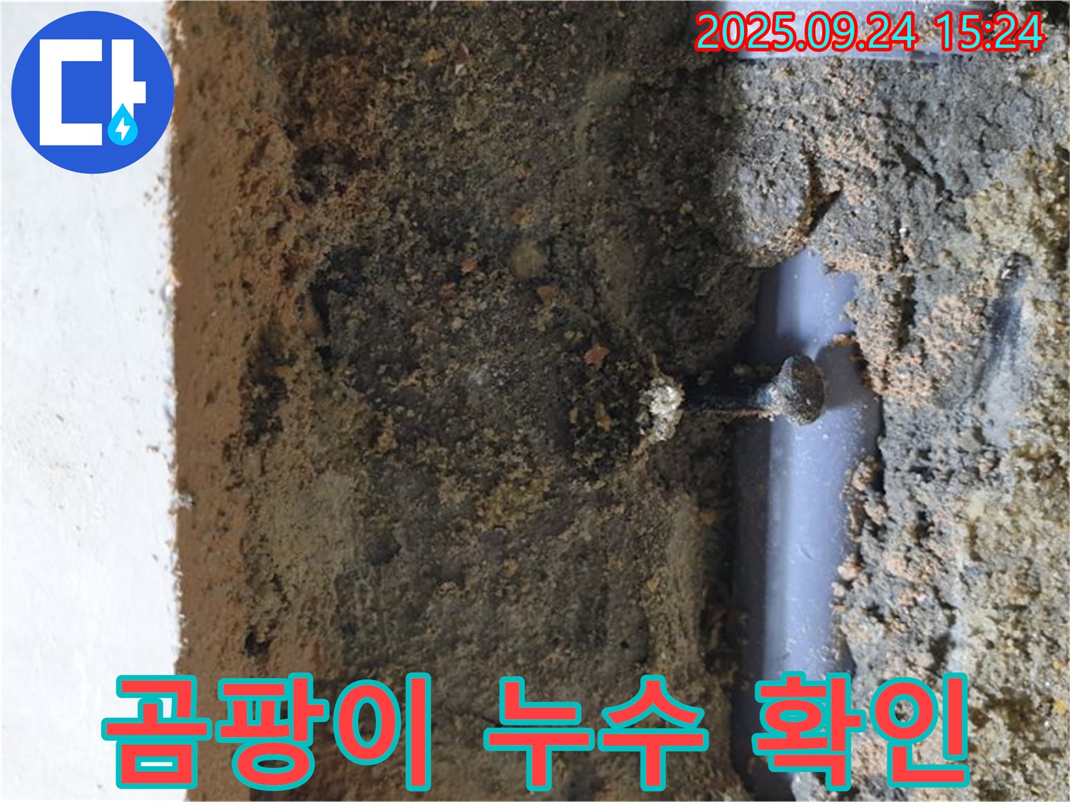 장암동 누수 현장 - 곰팡이 누수, 합리적인 비용으로 고민 해결!
