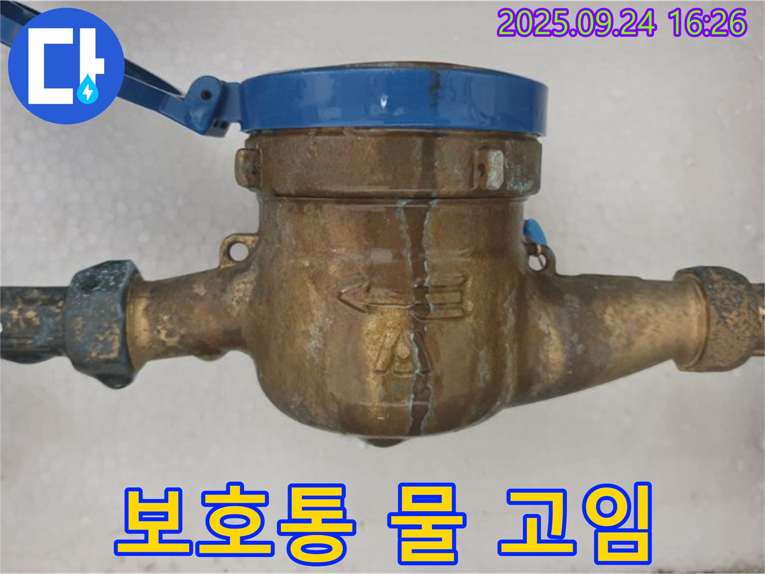 노원구 공릉동 수도 계량기 보호통 물 고임 - 수도 계량기 보호통 안에 물이 고여있는 모습입니다.
