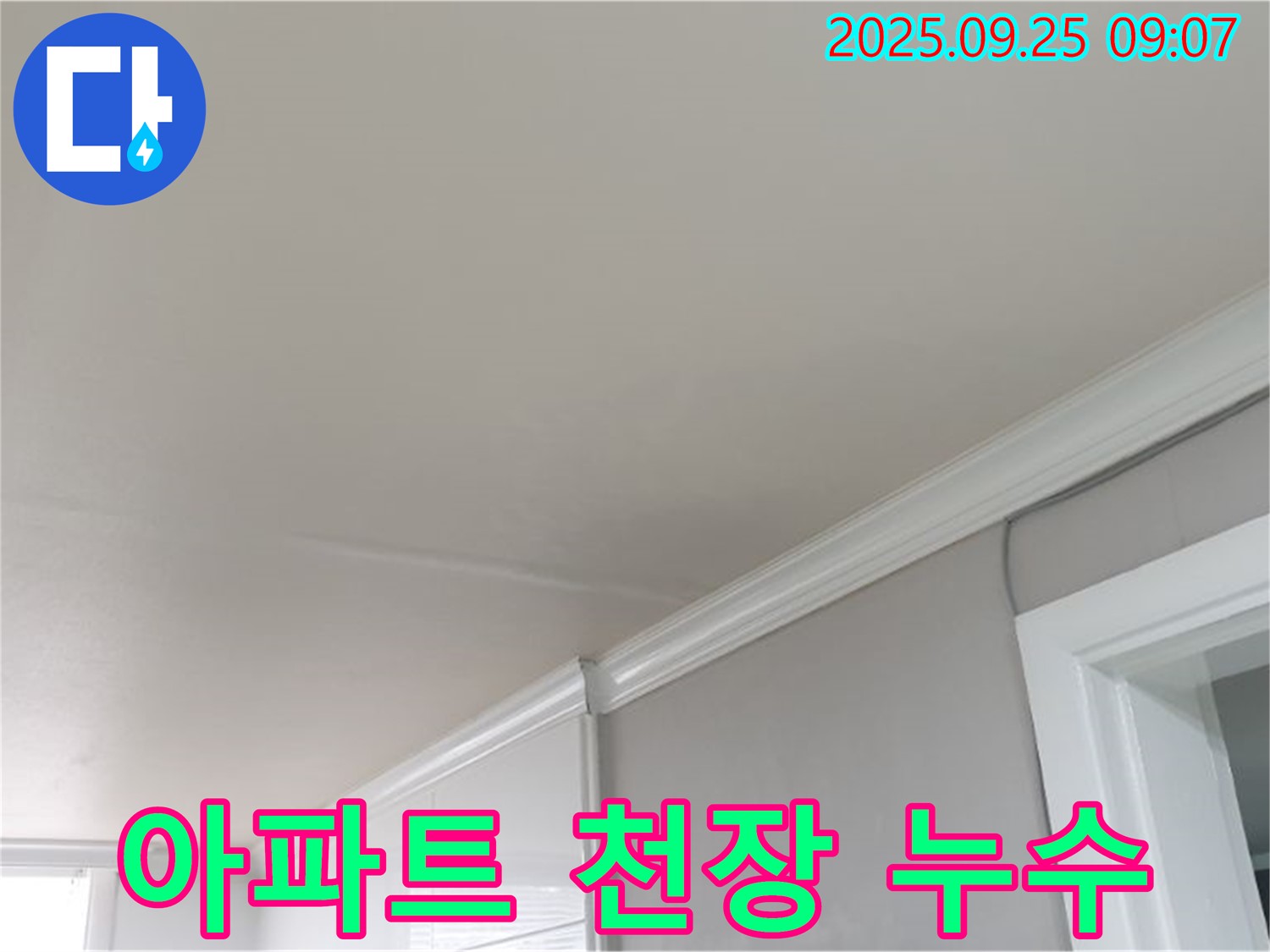 양주 연곡리 아파트 천장 누수 - 전문 누수 탐지 기술로 정확한 원인을 파악하고 완벽하게 해결합니다.