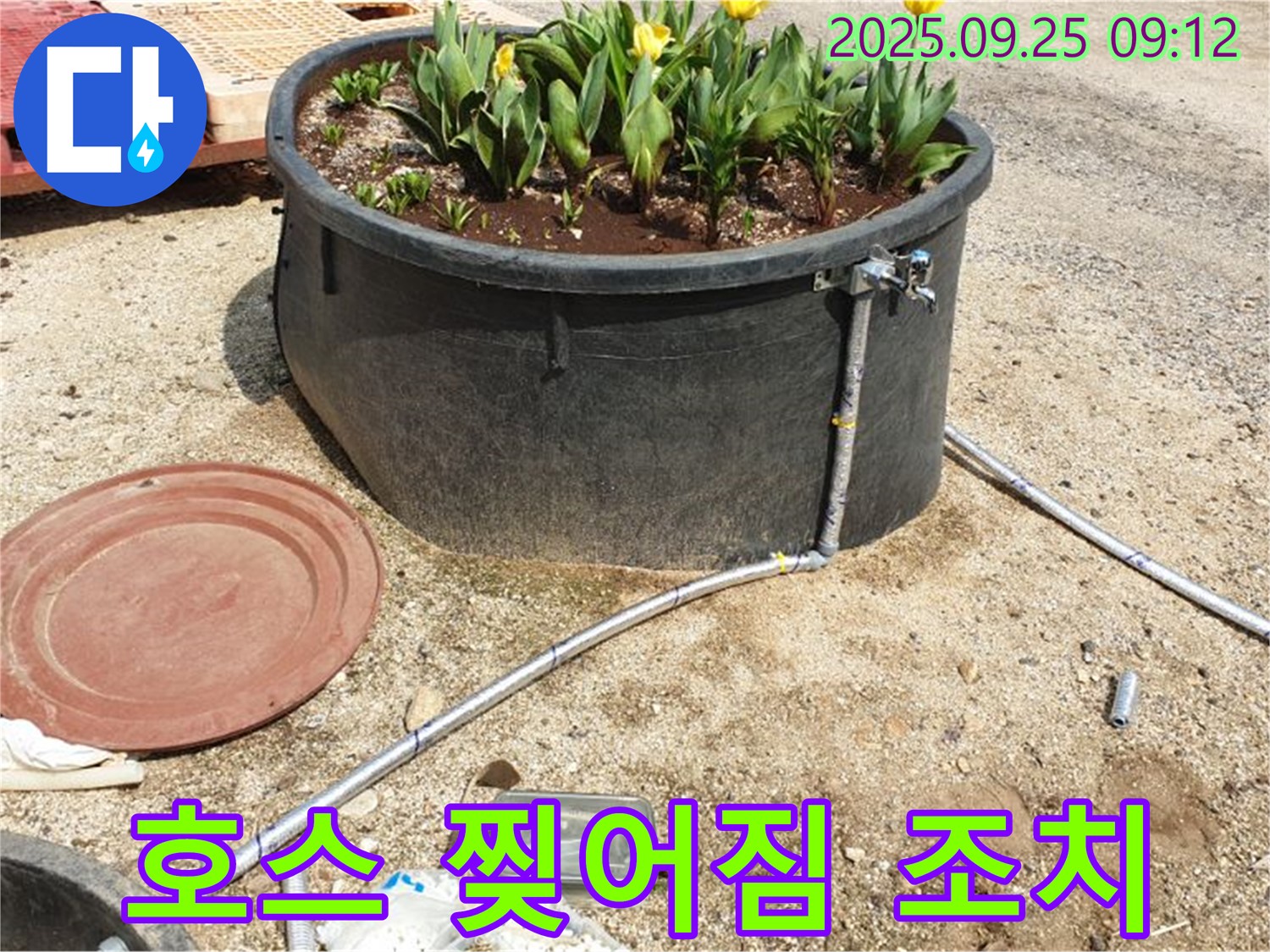 백석읍 복지리 화단 물탱크 누수 - 찢어진 배수 호스를 임시로 조치하는 모습입니다.