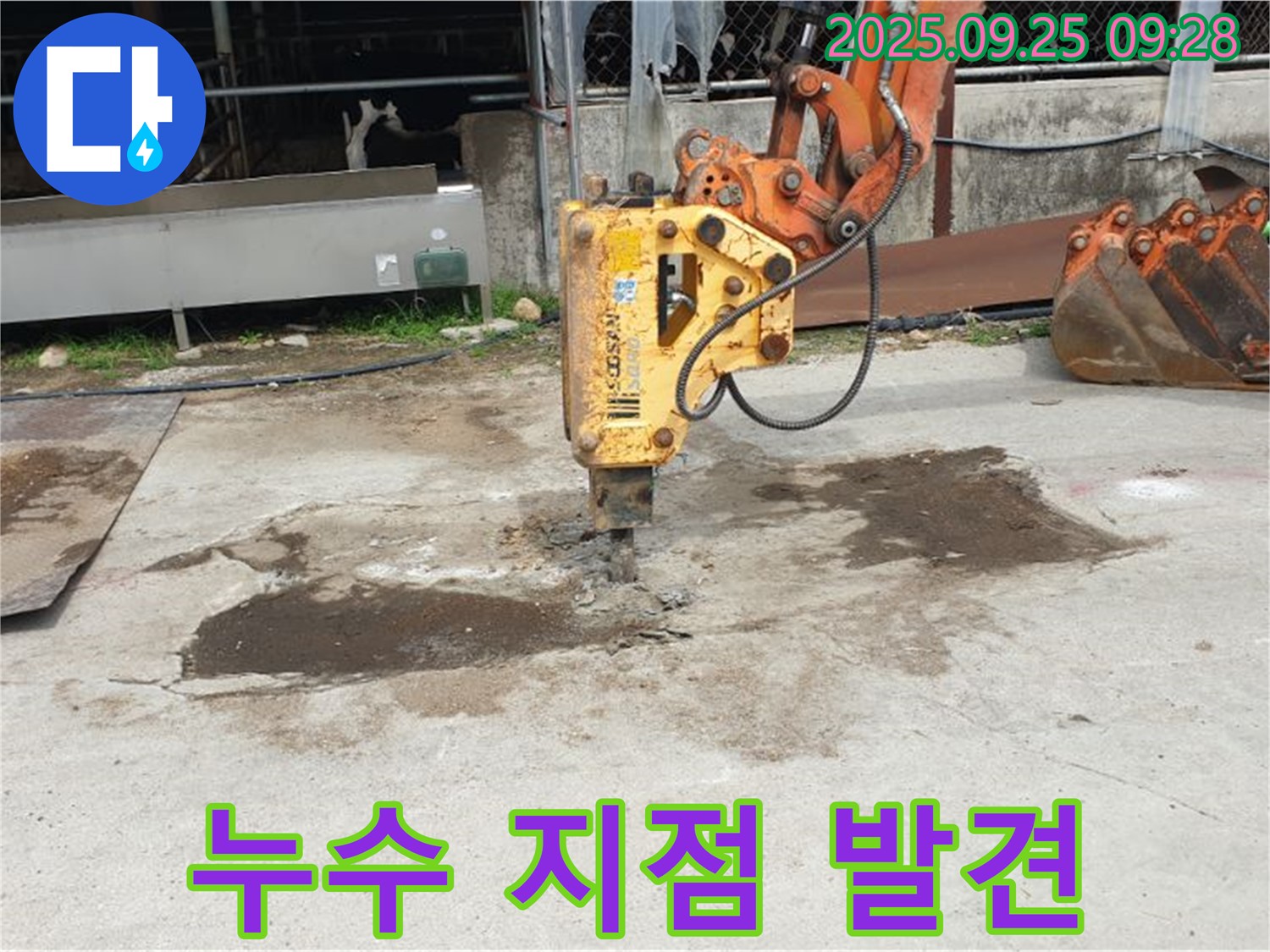 양주시 백석읍 복지리 누수 - 굴착 작업 중 누수 지점 발견