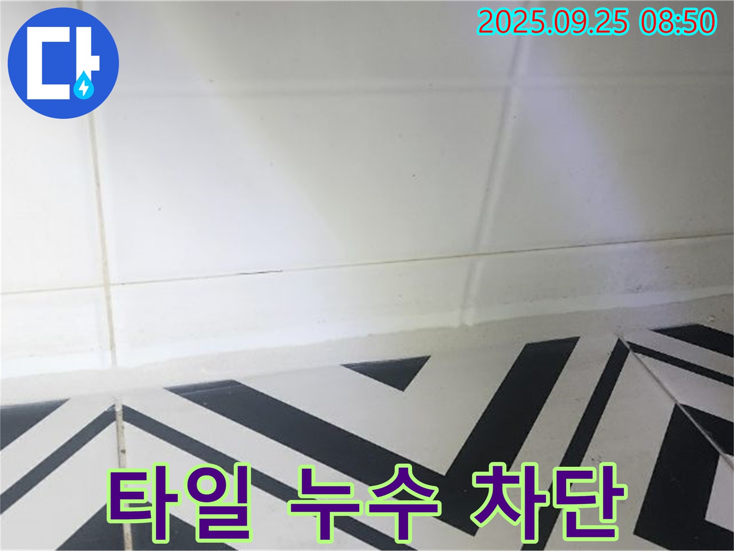 양주시 백석읍 오산리 주택 화장실 타일 틈새 누수 - 완벽한 누수 차단으로 쾌적한 화장실 환경을 만들어 드립니다.