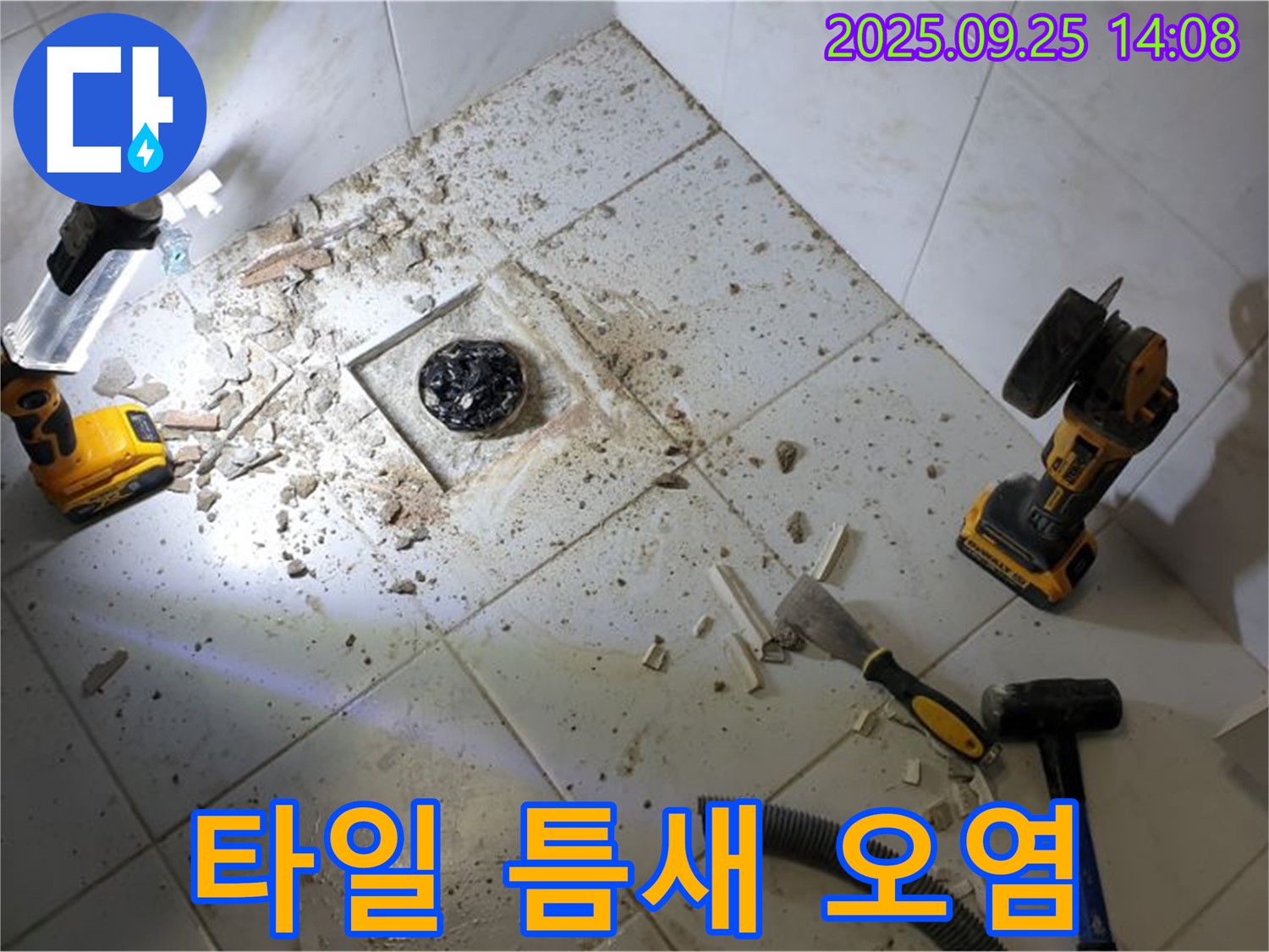 의정부 욕실 누수 - 배수구 주변 타일 틈새 오염 확인 - 곰팡이 및 누수 위험