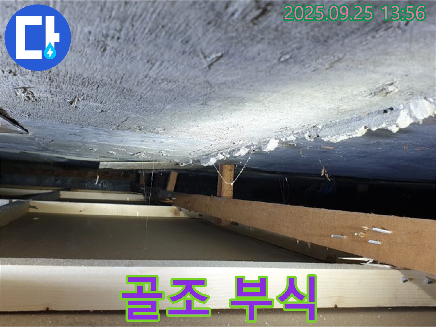의정부 호원1동 누수 - 천장 속 나무 골조 부식, 건물 안전 적신호