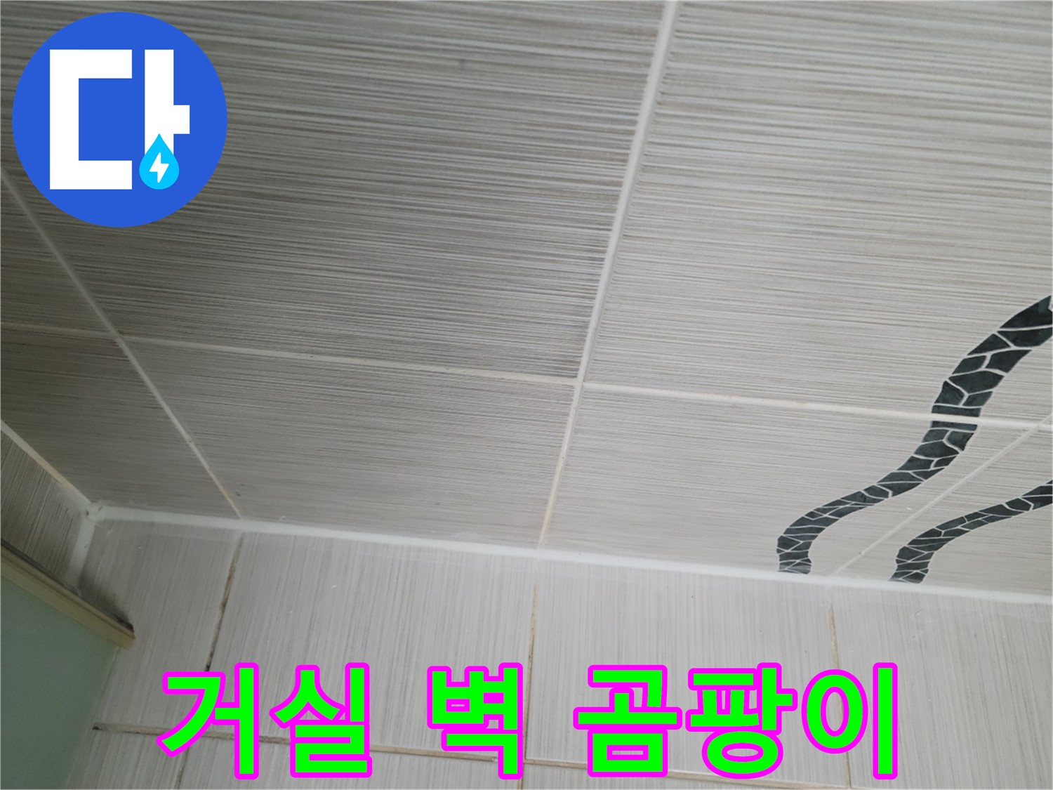 동두천 누수 - 거실 벽에 곰팡이가 슬어 누수 여부를 확인하고 있습니다.