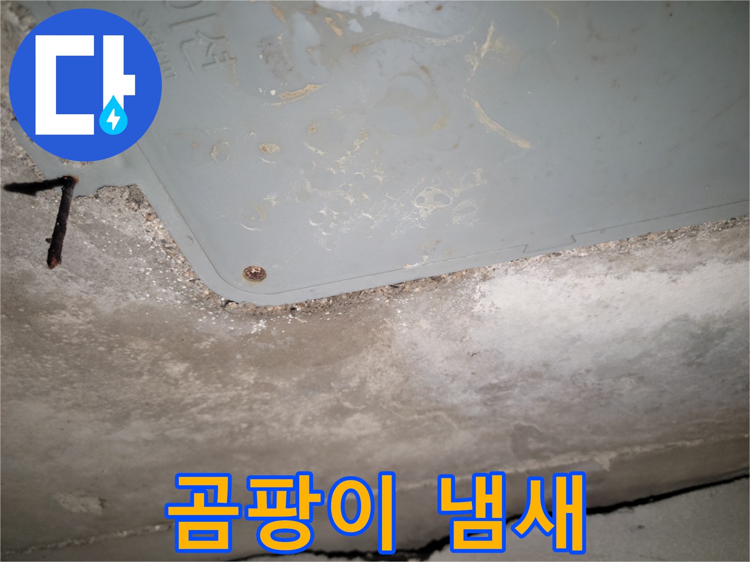 동두천 누수 - 생연동 곰팡이 냄새 - 건강 위협