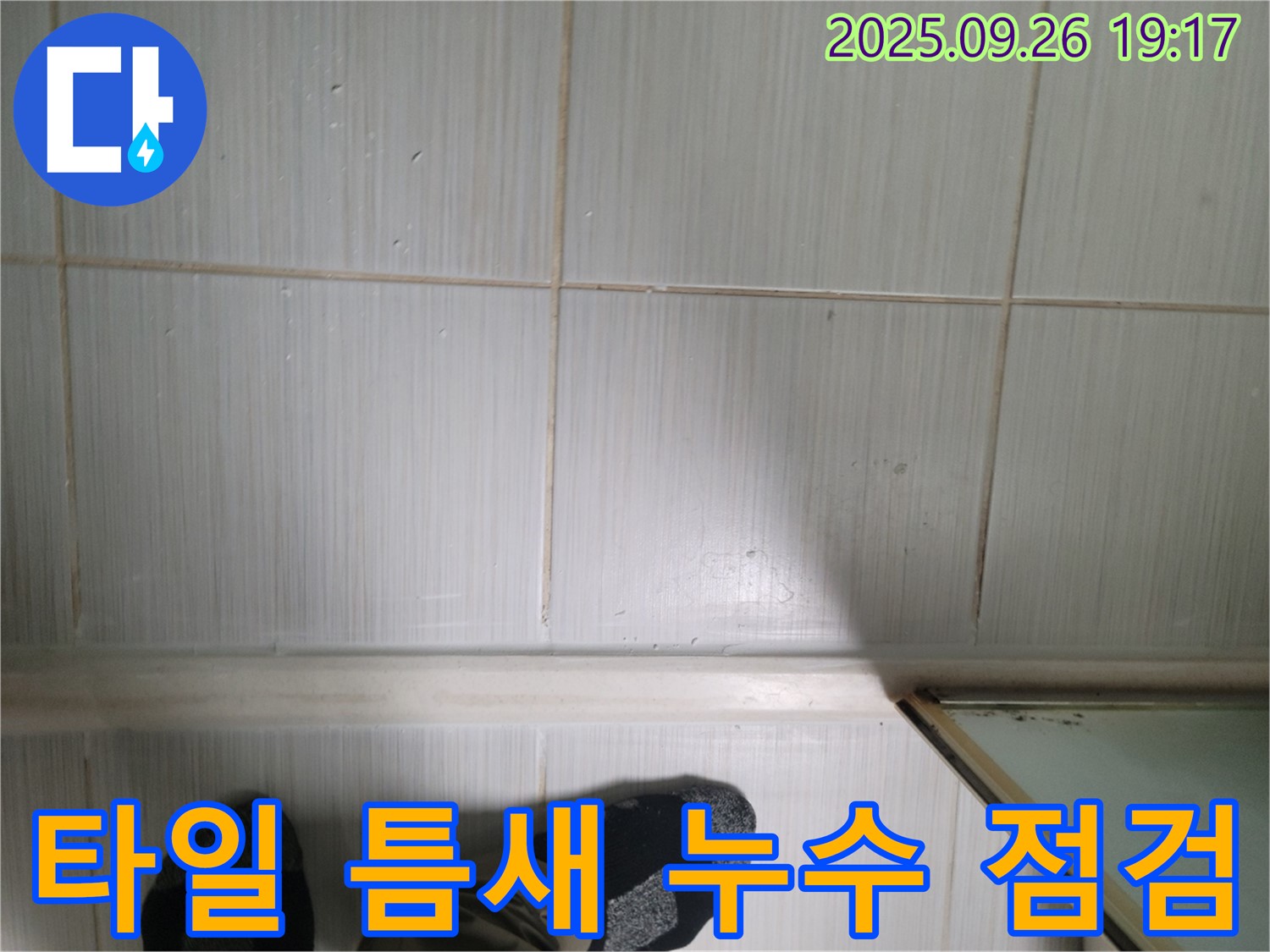 동두천 누수 탐지 - 욕실 타일 틈새를 꼼꼼하게 점검하며 누수 여부를 확인하고 있습니다.