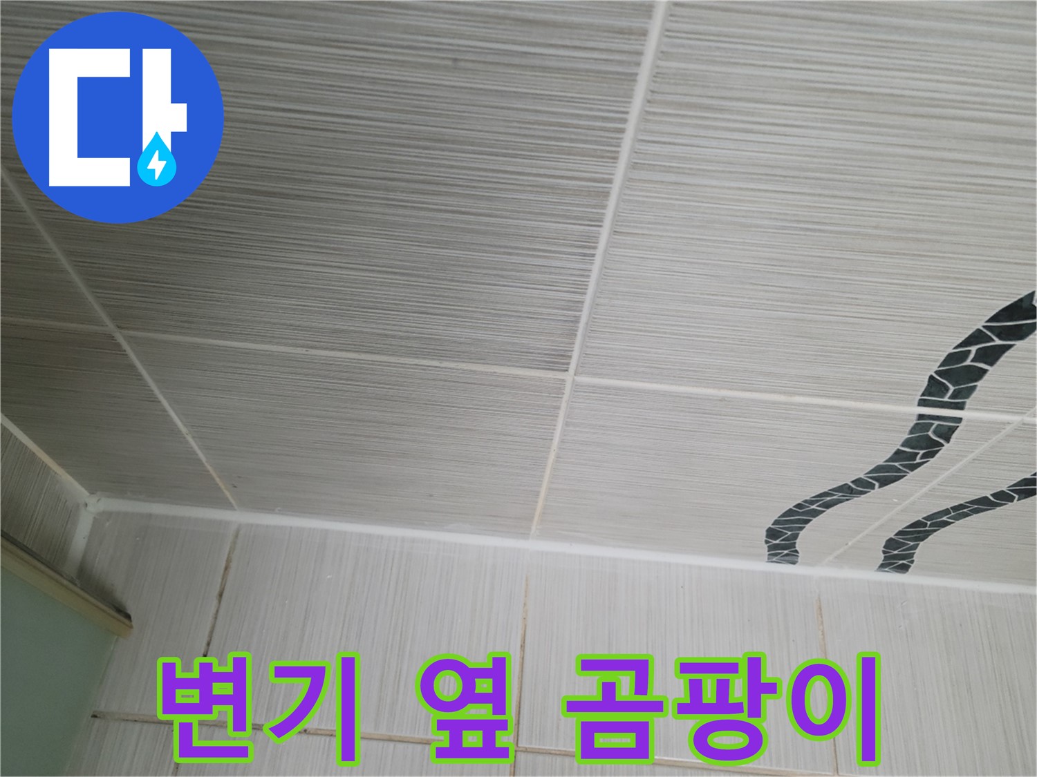 동두천 누수 - 화장실 변기 옆 타일 틈새에 곰팡이가 발생한 모습입니다.