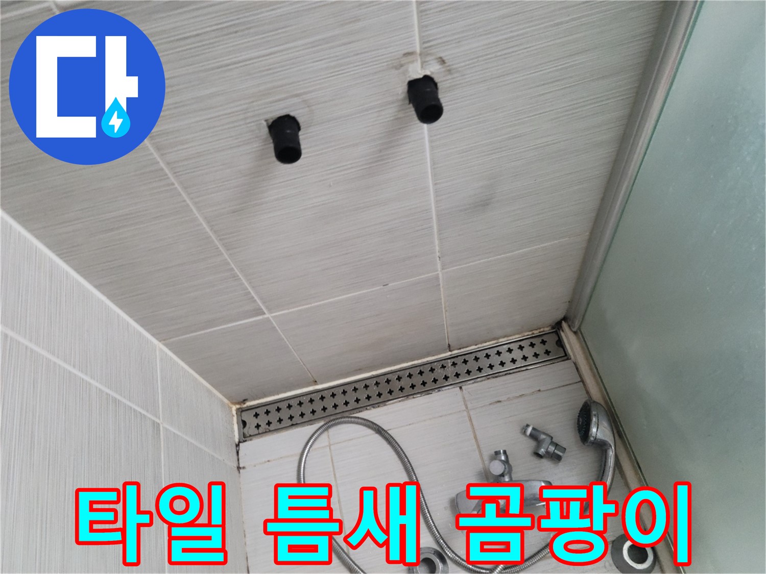 동두천 신창동 - 샤워기 주변 타일 틈새 곰팡이 - 곰팡이는 누수의 단골 손님!