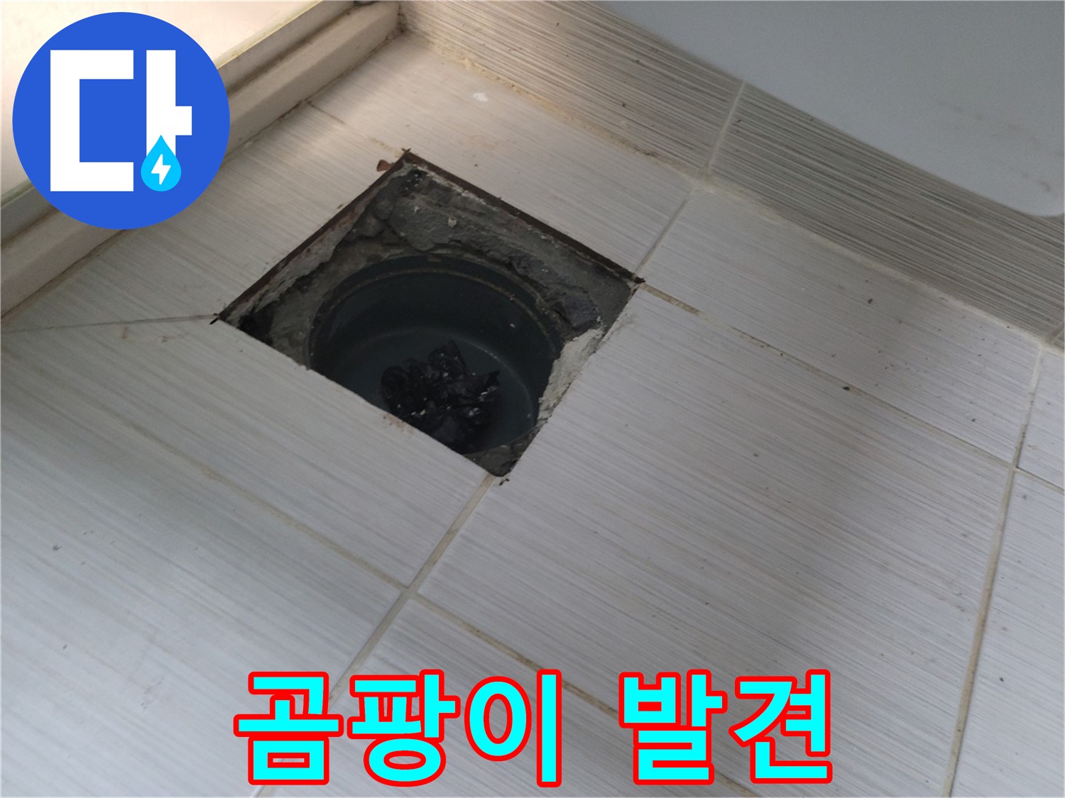 동두천 신창비바패밀리 욕실 누수 - 곰팡이 발견