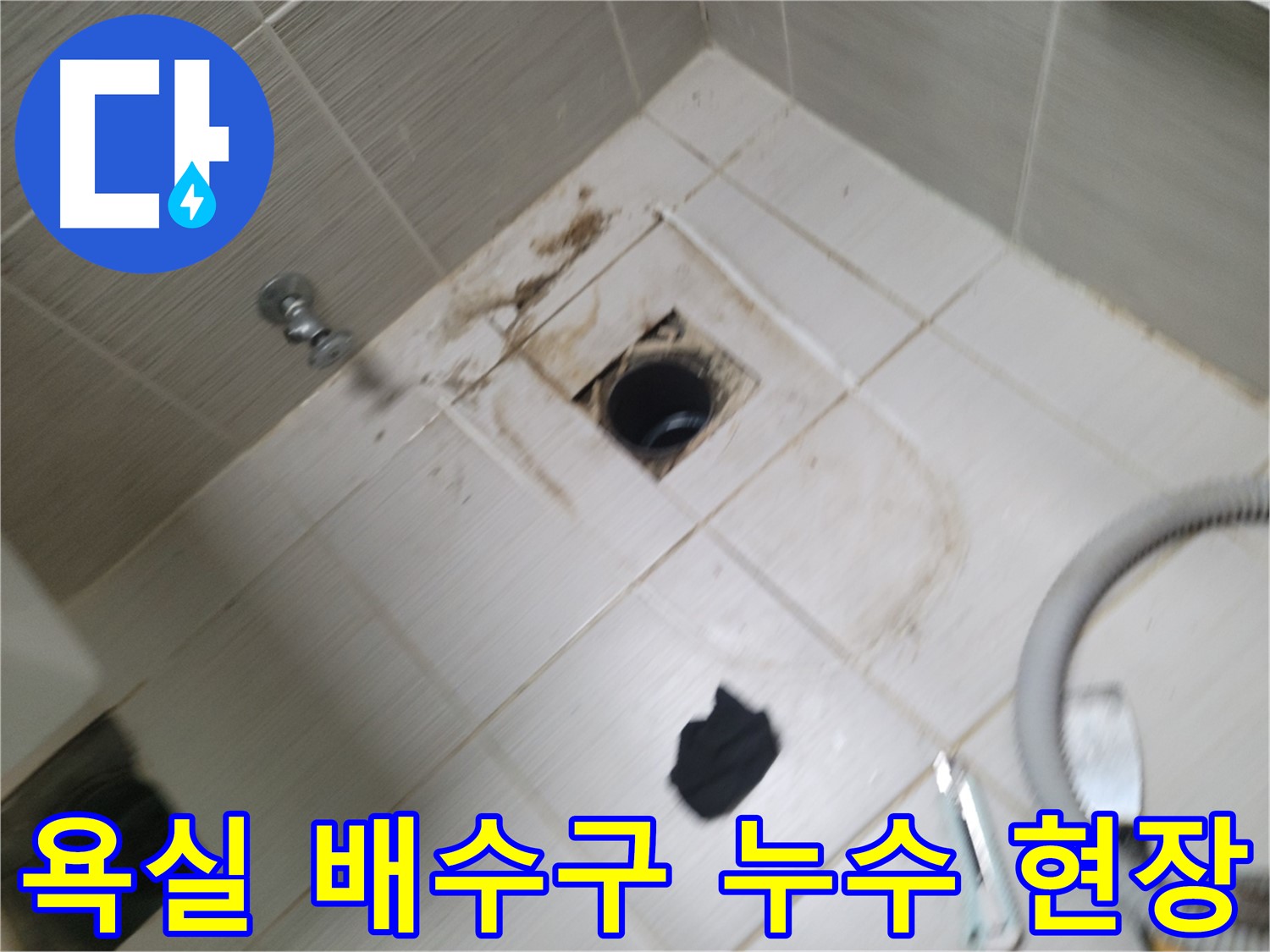 동두천 욕실 배수구 누수 현장 - 누수 원인 파악 및 신속한 해결을 위한 전문가의 방문