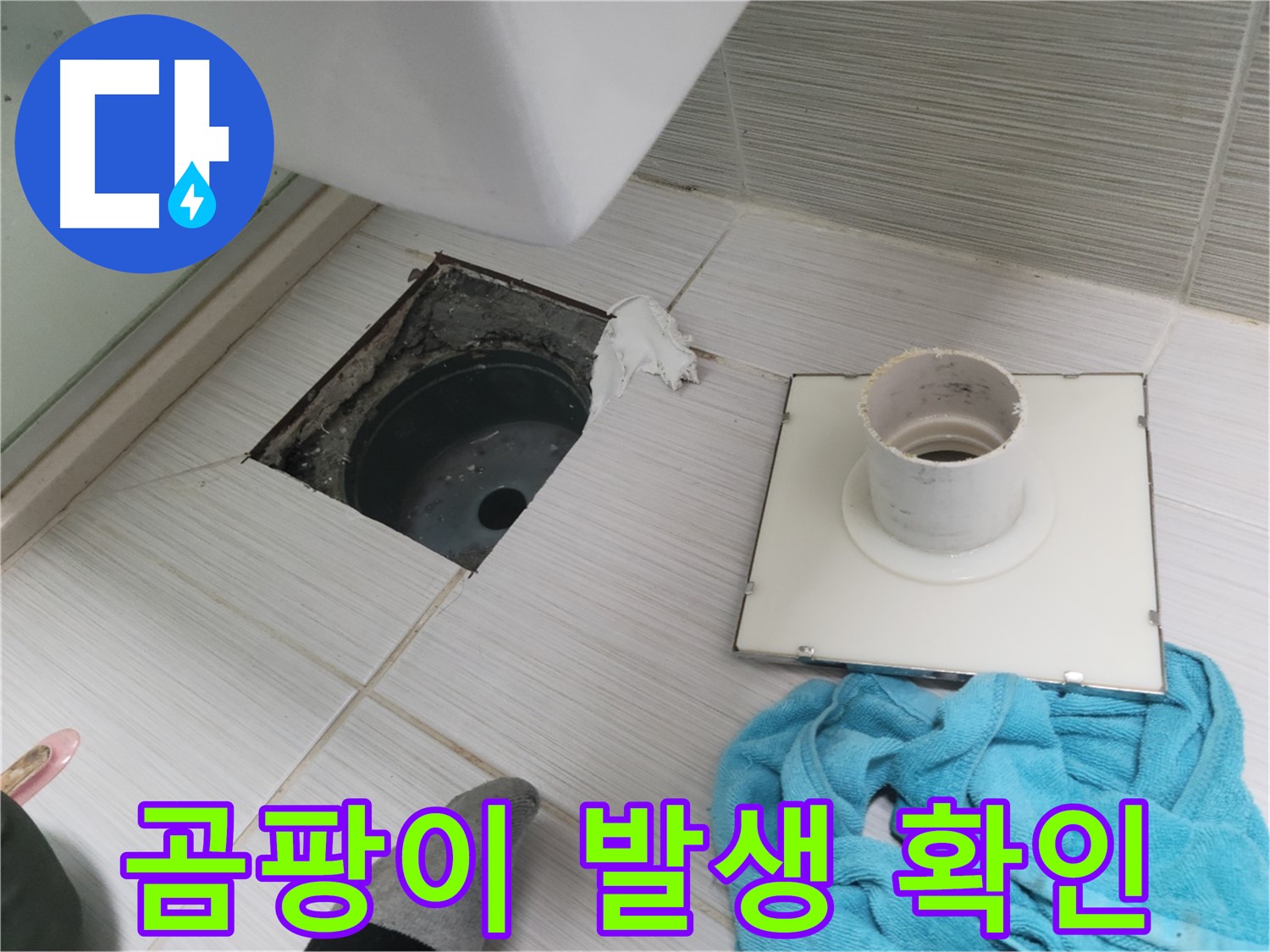 동두천 화장실 배수구 주변 곰팡이 발생 확인 - 누수 의심