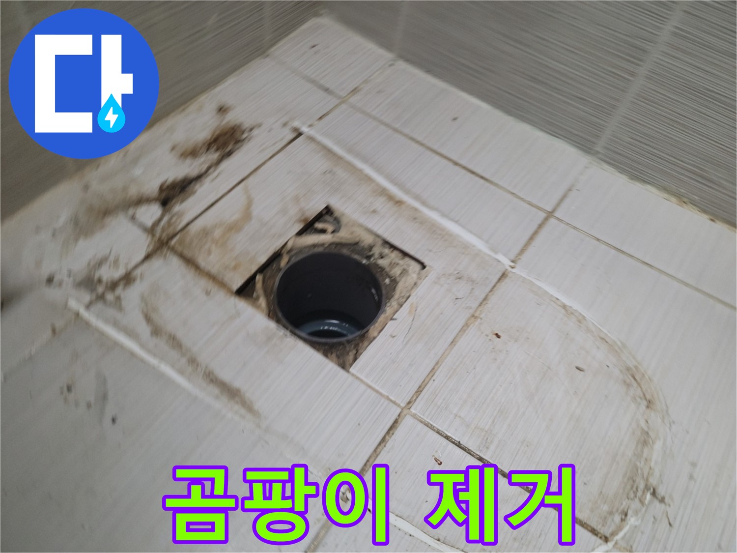 배수구 주변 - 곰팡이 집중 제거 작업
