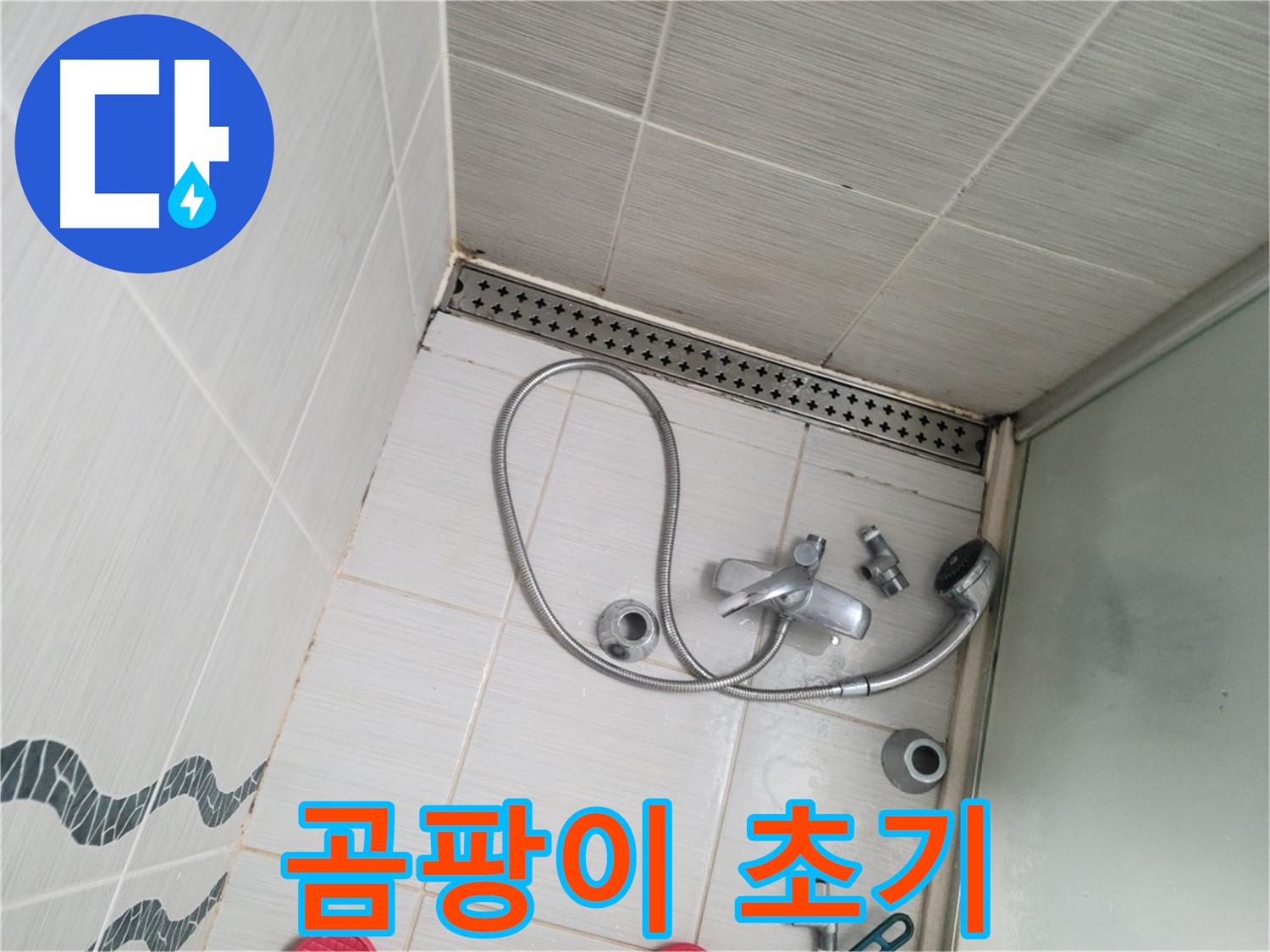샤워기 수전 주변 곰팡이 발생 초기 - 빠른 조치 필요