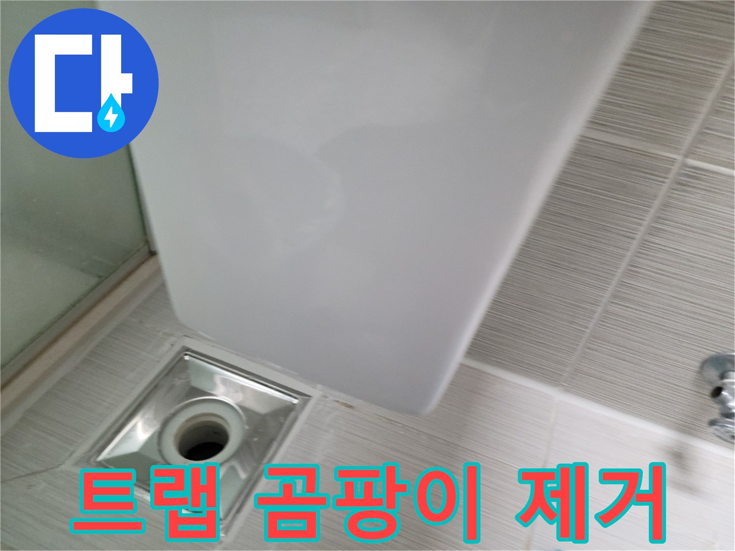 샤워기 트랩 주변 곰팡이 제거 - 누수 원인 해결 - 쾌적한 욕실 환경