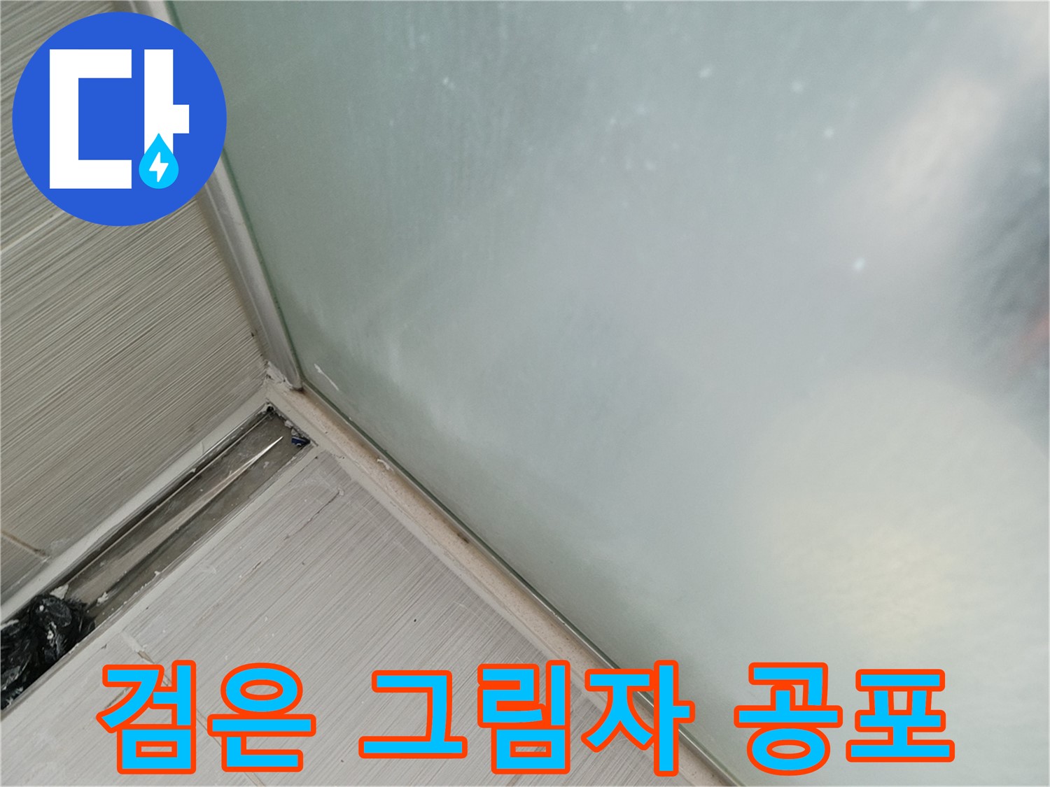 샤워부스 누수 - 검은 그림자 - 곰팡이 공포