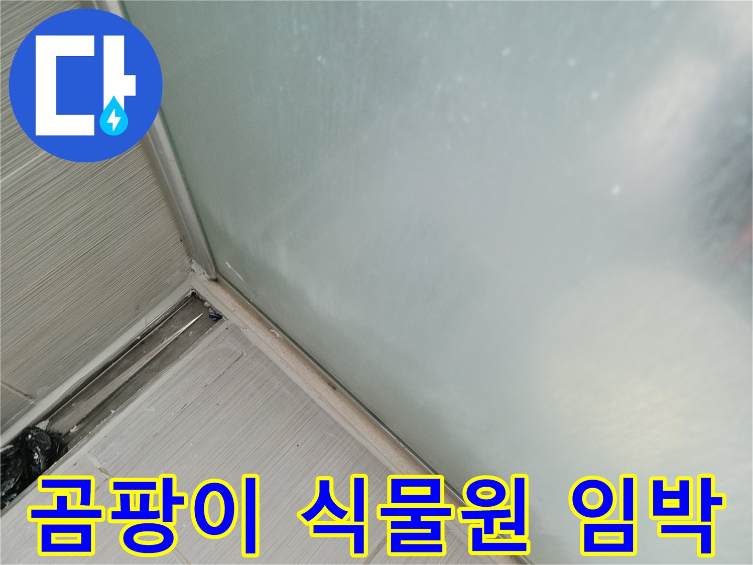 샤워부스 누수 - 곰팡이 식물원 - 실리콘 들뜸
