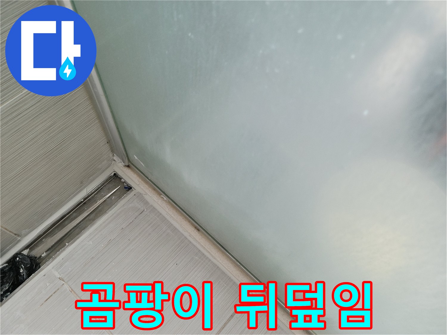샤워부스 누수 - 곰팡이 - 심각