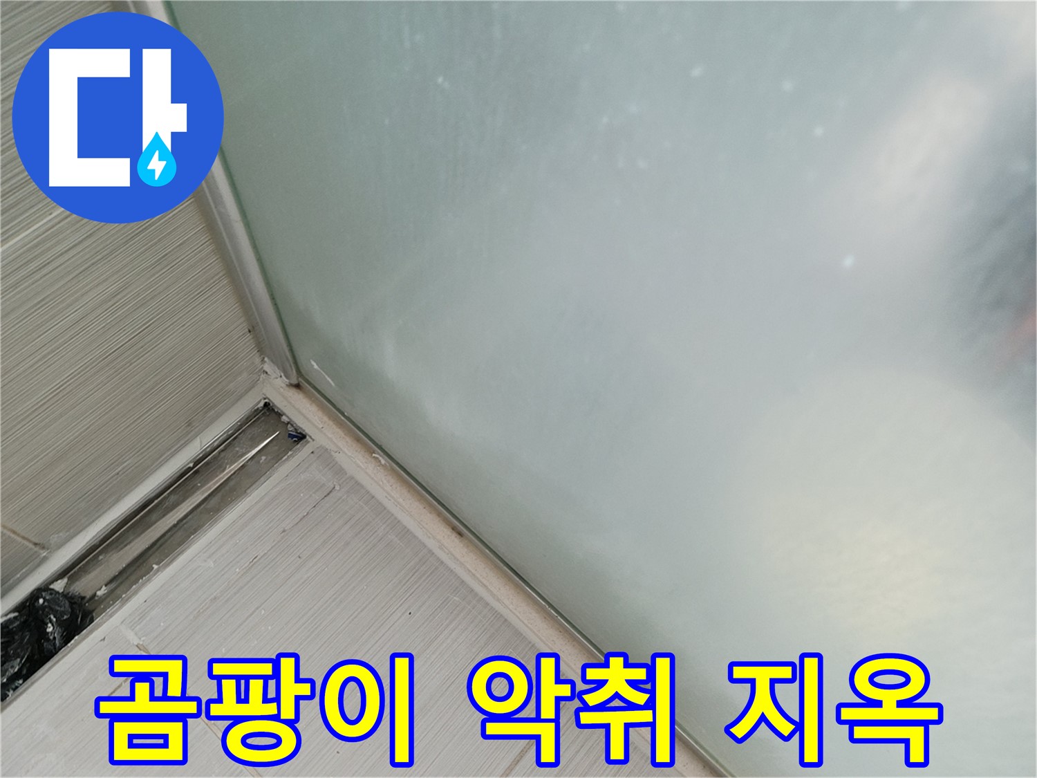 샤워부스 누수 - 곰팡이 - 악취 - 지옥