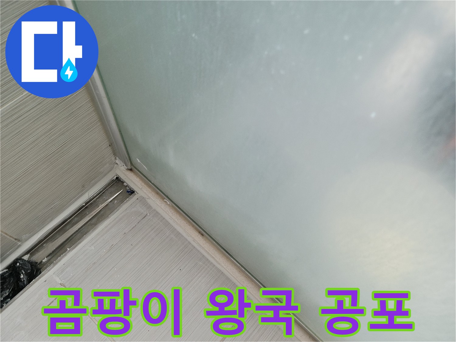 샤워부스 누수 - 곰팡이 왕국 - 실리콘 들뜸