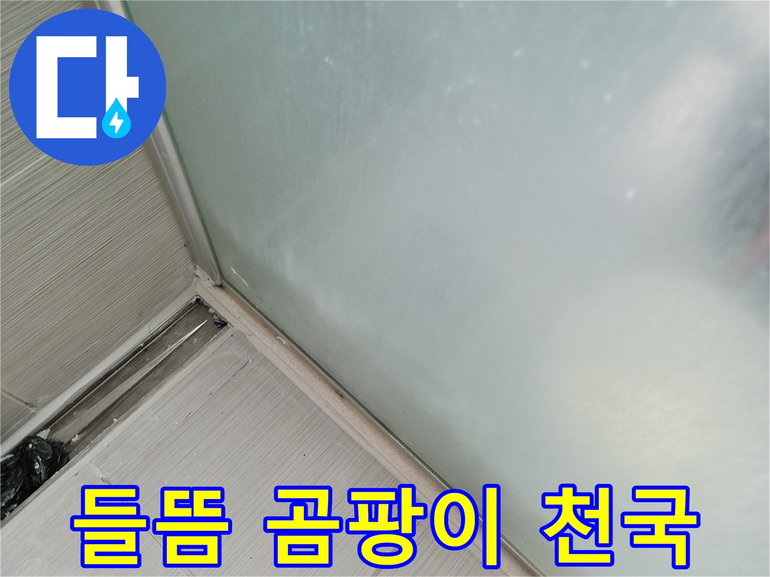 샤워부스 누수 - 들뜸 - 곰팡이 천국