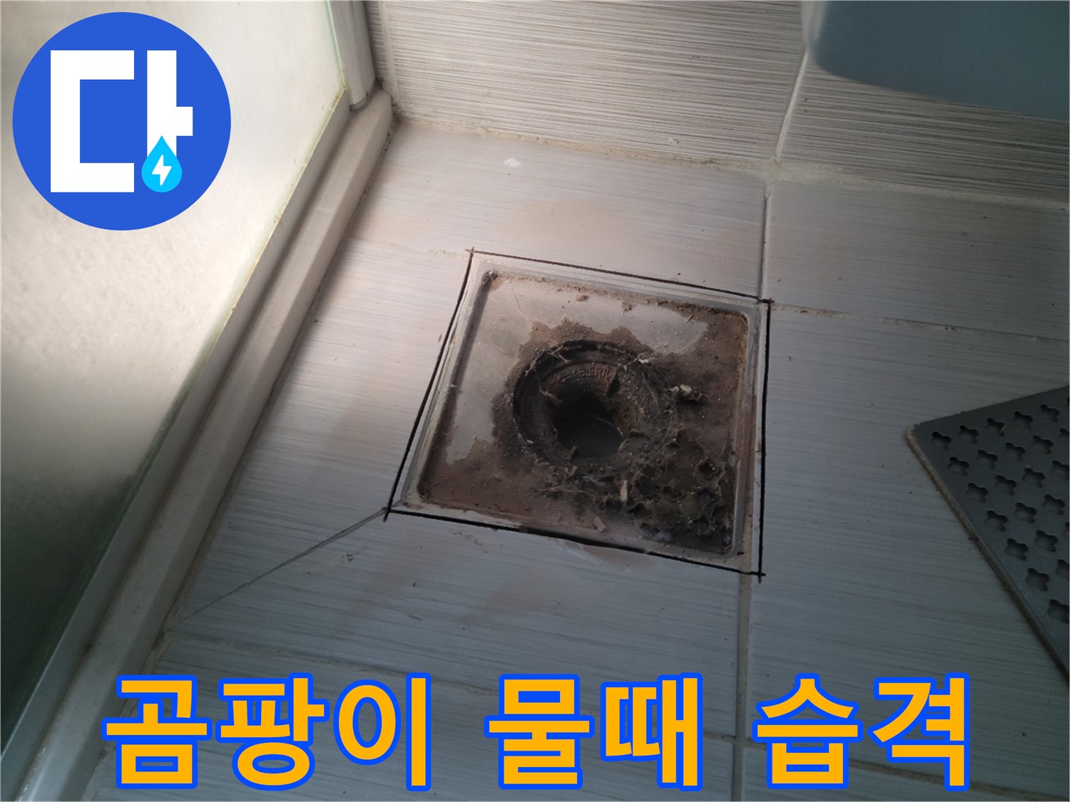 신창비바패밀리 욕실 배수구 주변 - 곰팡이 & 물때 습격!