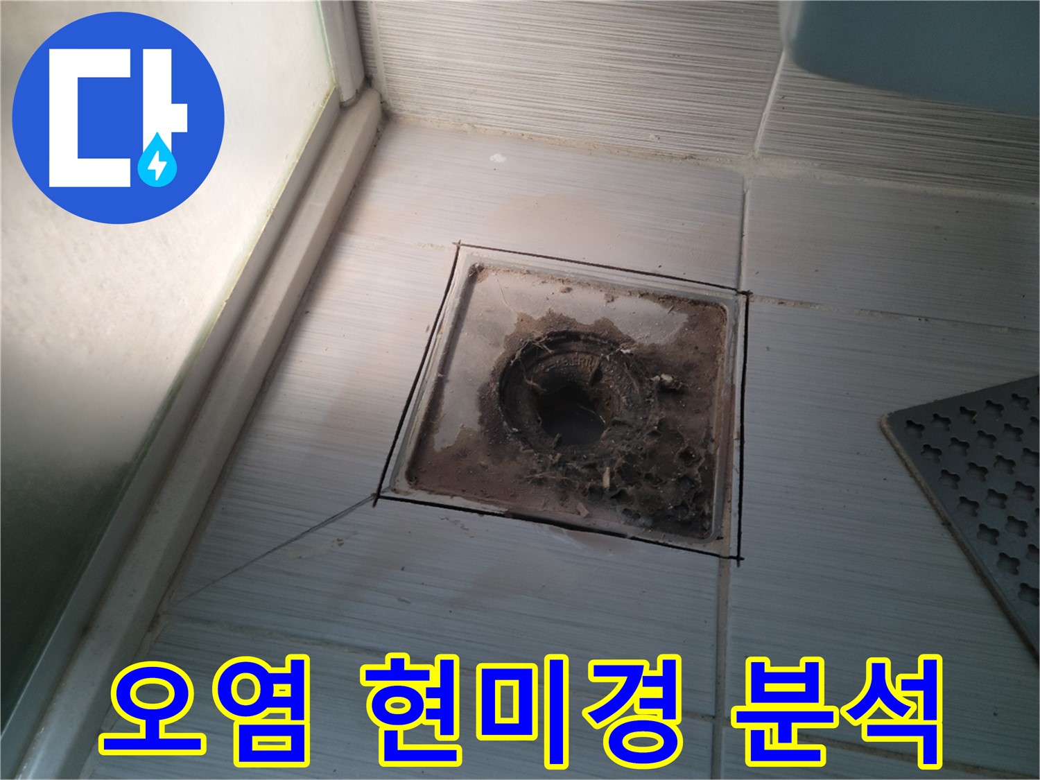 신창비바패밀리 욕실 배수구 주변 - 오염 상태 현미경 촬영 분석 중