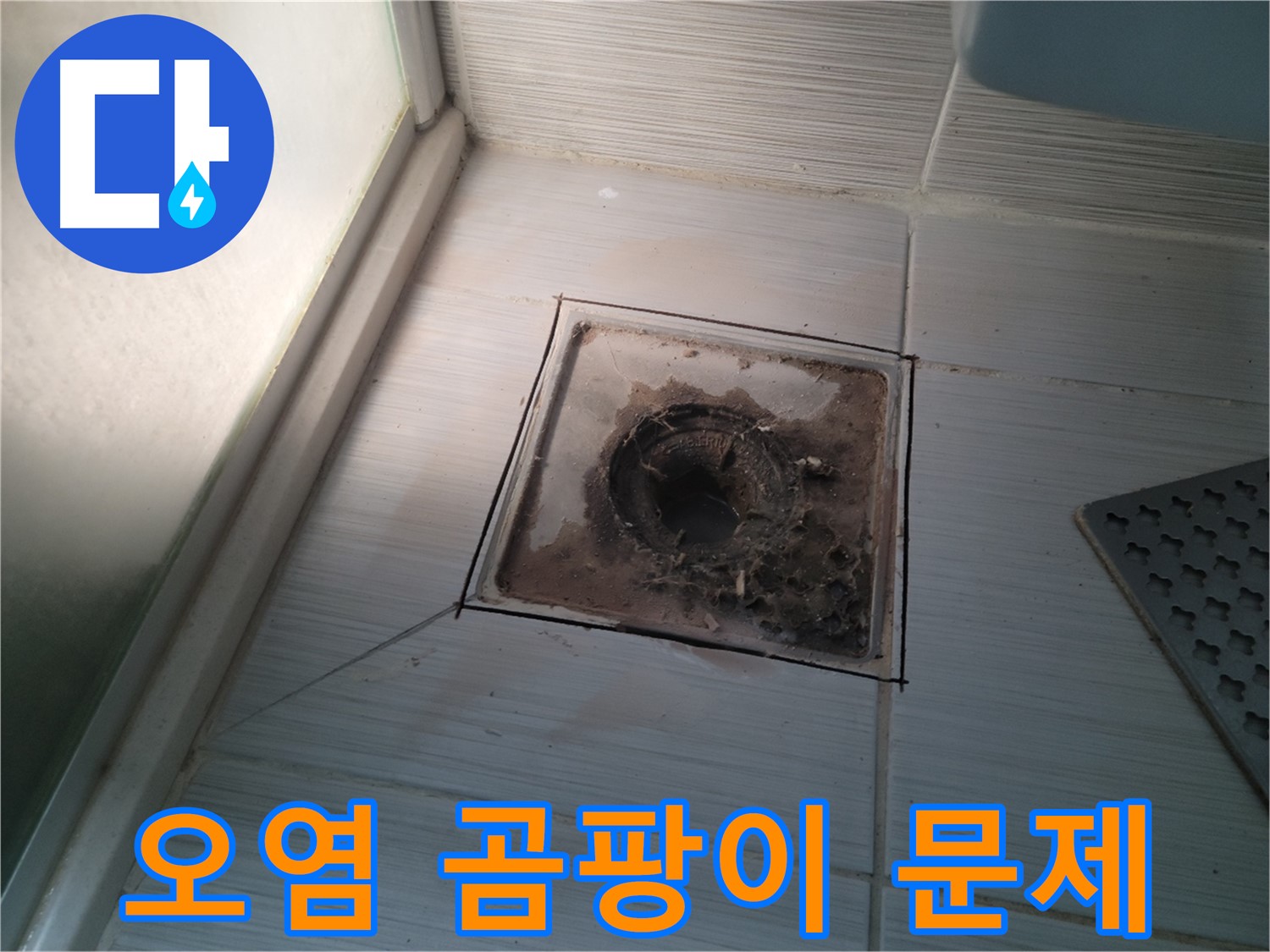 신창비바패밀리 욕실 배수구 주변 - 오염으로 인한 곰팡이 문제 발생