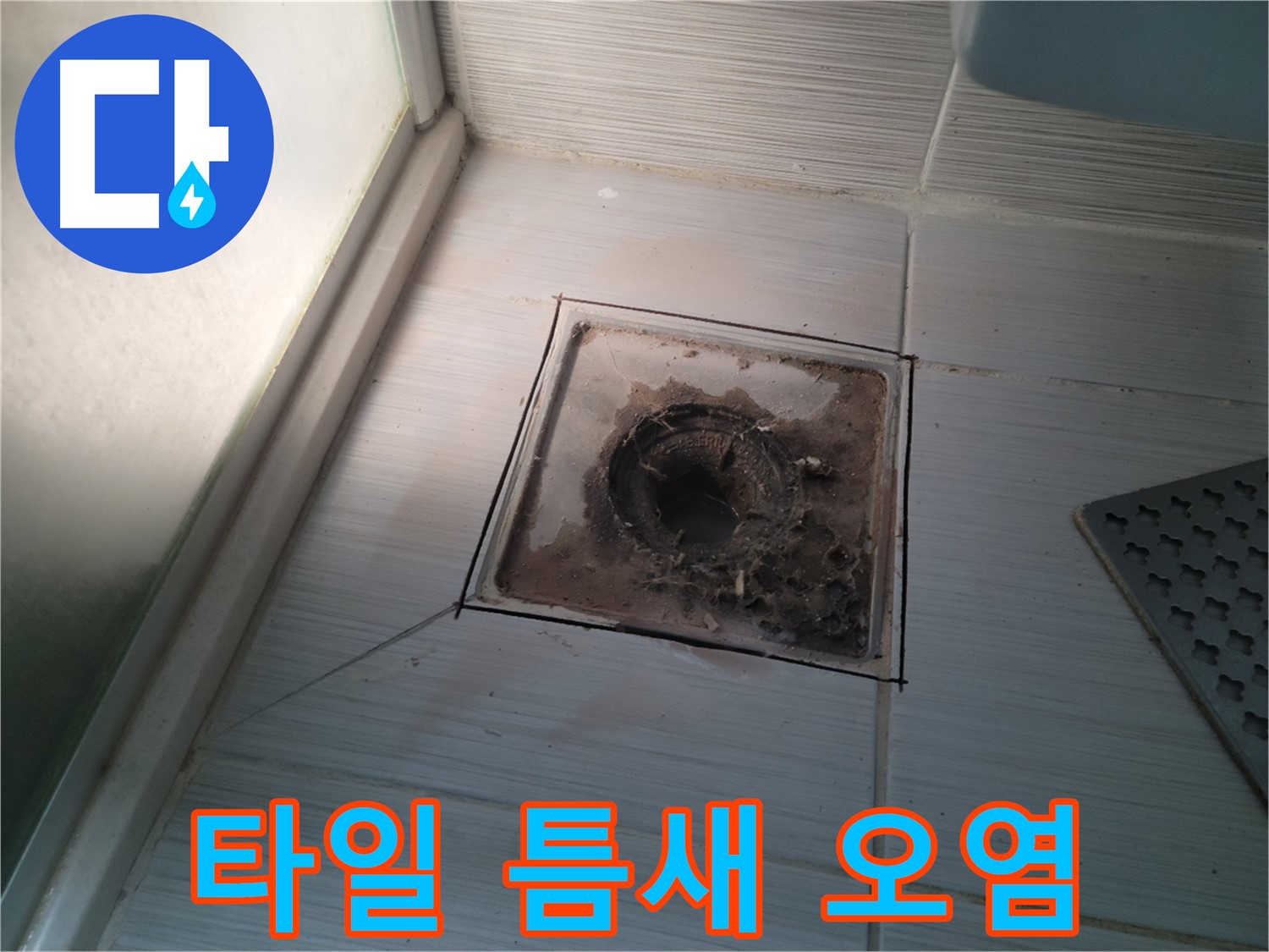 신창비바패밀리 욕실 배수구 주변 - 타일 틈새 오염 확인 및 누수 위험 증가
