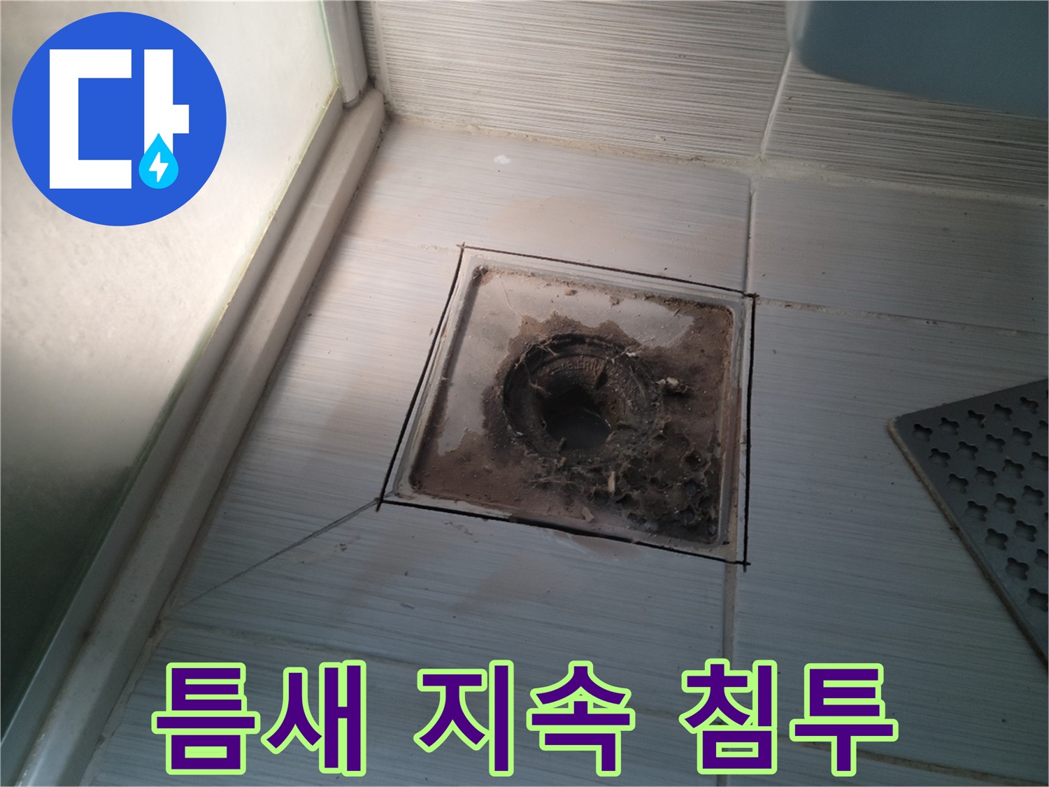 신창비바패밀리 욕실 배수구 - 타일 틈새로 물이 지속 침투!