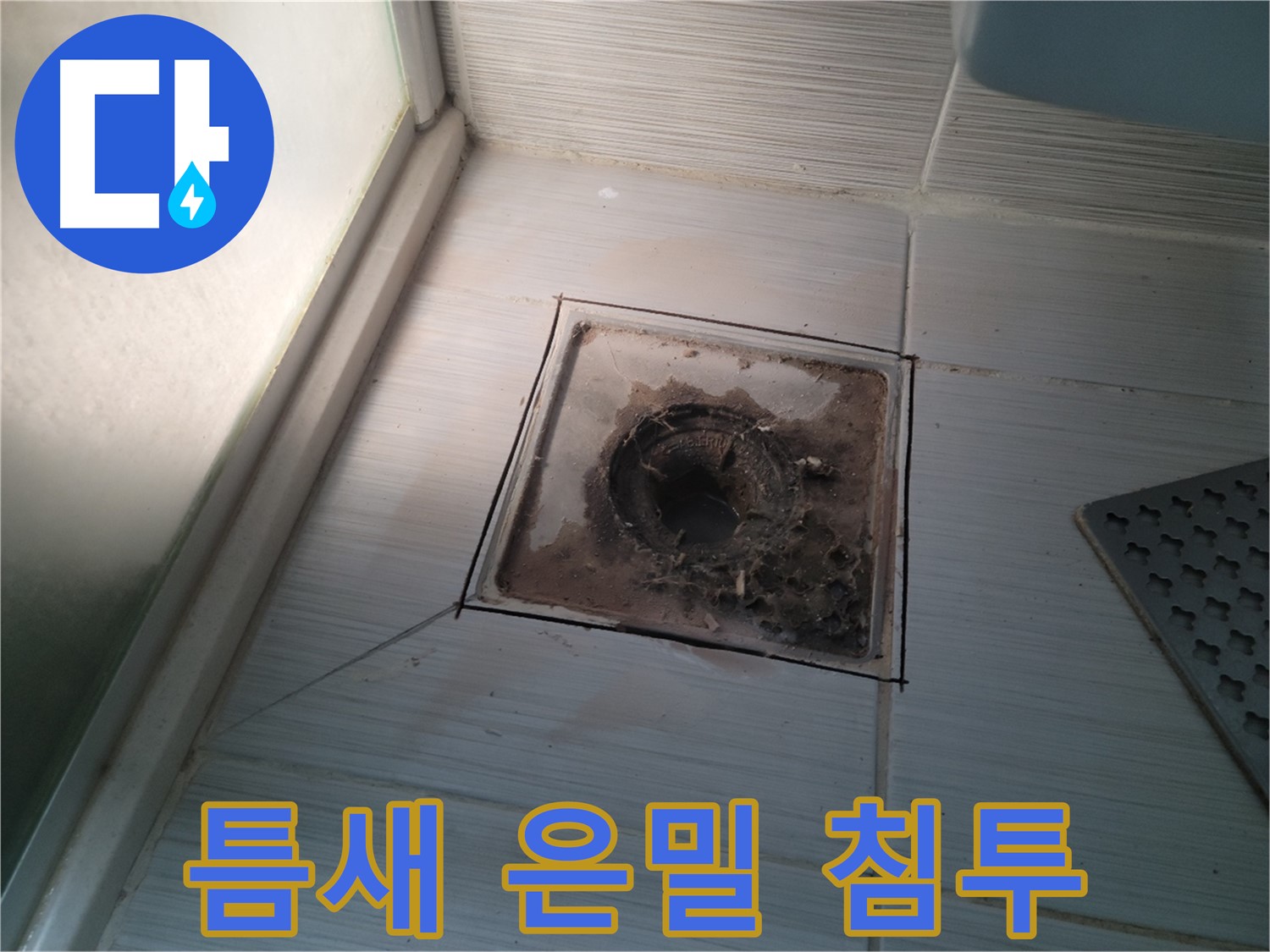 신창비바패밀리 욕실 배수구 - 타일 틈새의 은밀한 침투 작전!