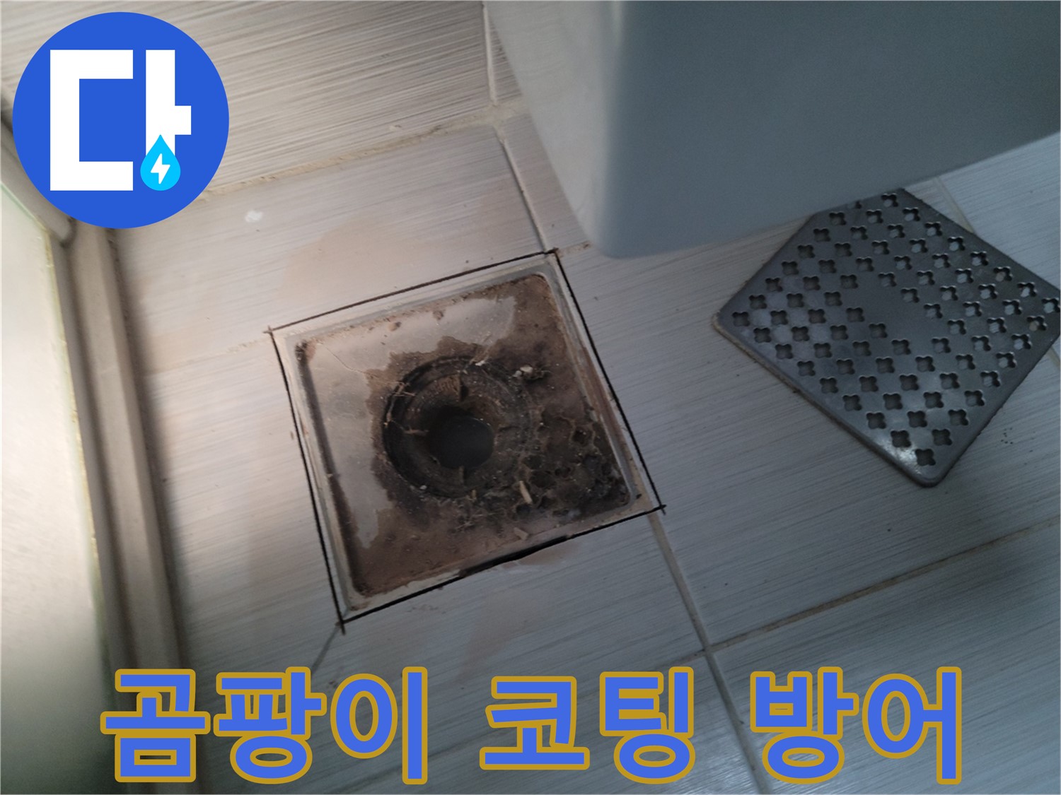 욕실 배수구 - 곰팡이 완벽 차단 - 곰팡이 방지 코팅 시공