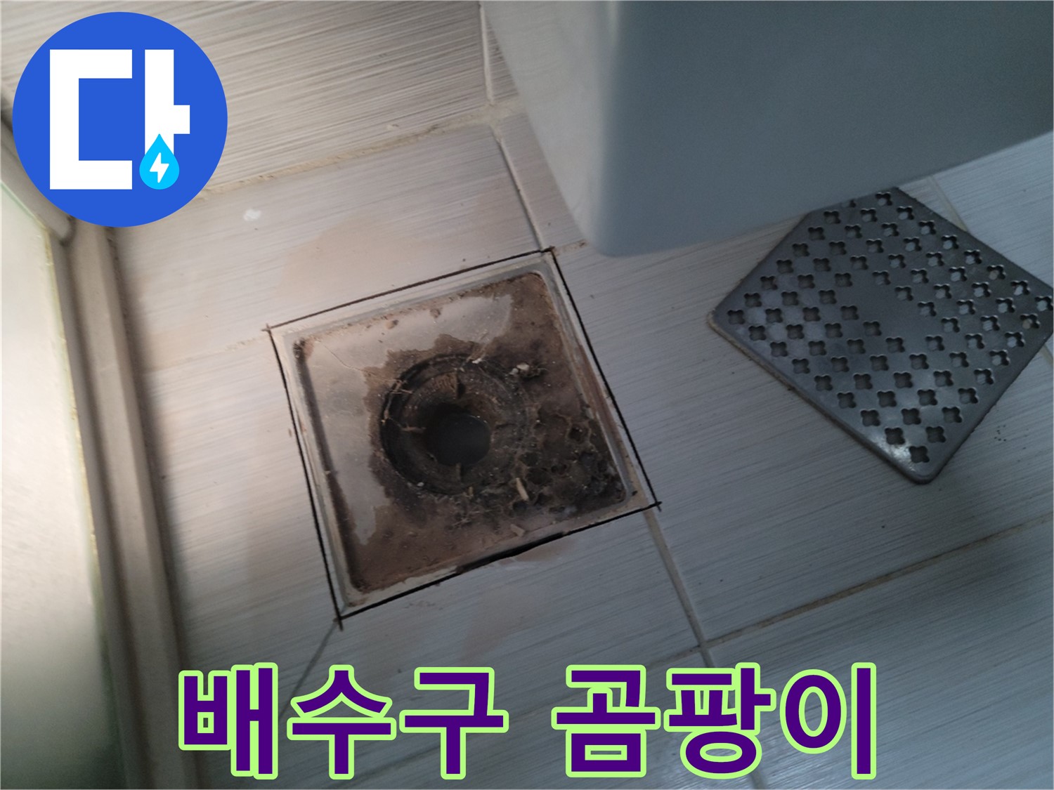 욕실 배수구 주변 - 곰팡이 발생 - 곰팡이 제거 및 방지 코팅