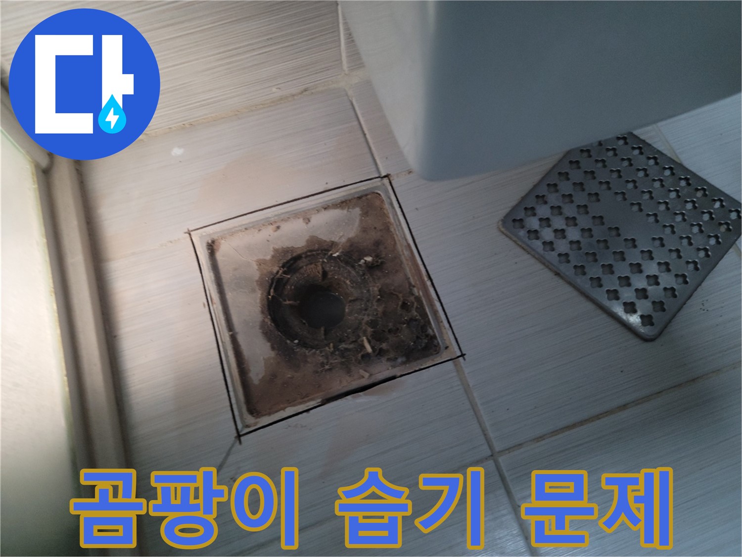 욕실 배수구 주변 - 곰팡이 발생 - 습기 문제 점검 필요
