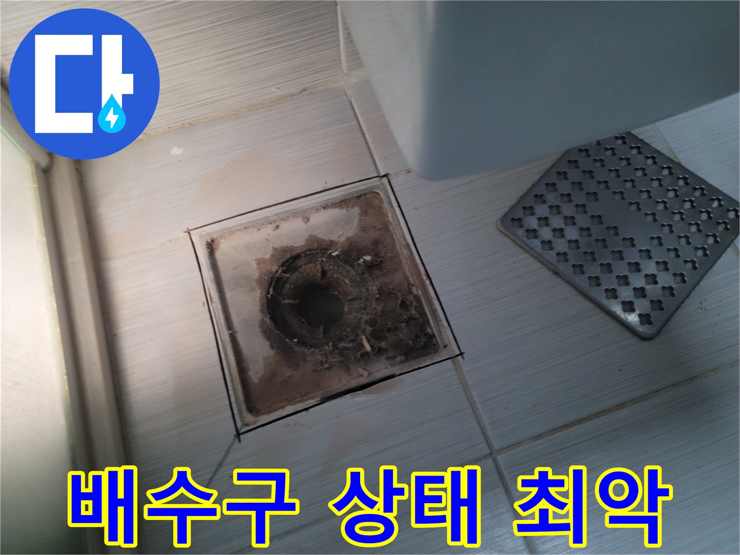 욕실 배수구 - 최악의 오염 상태 - 긴급 청소 및 점검 필요