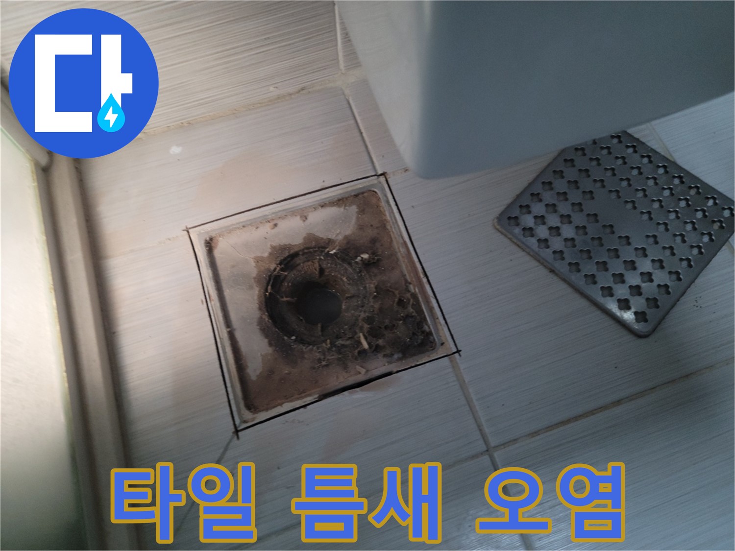 욕실 배수구 - 타일 틈새 오염 - 누수 위험 및 청소 필요