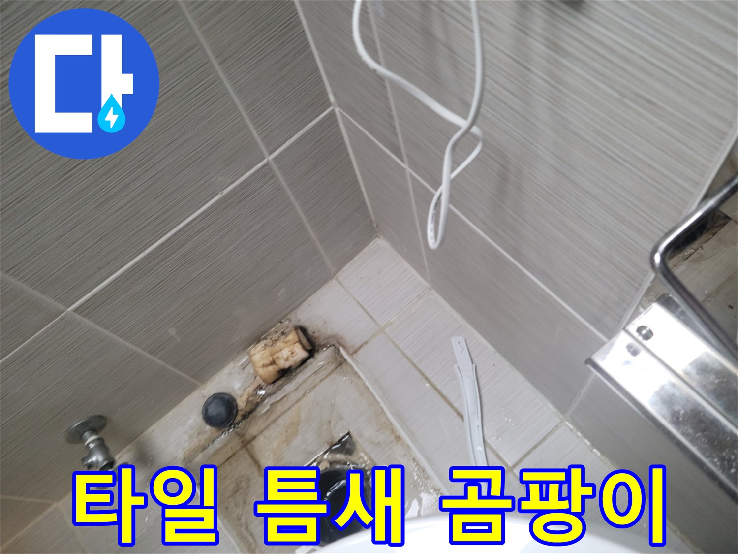 욕실 하수구 주변 - 타일 틈새 곰팡이 발생