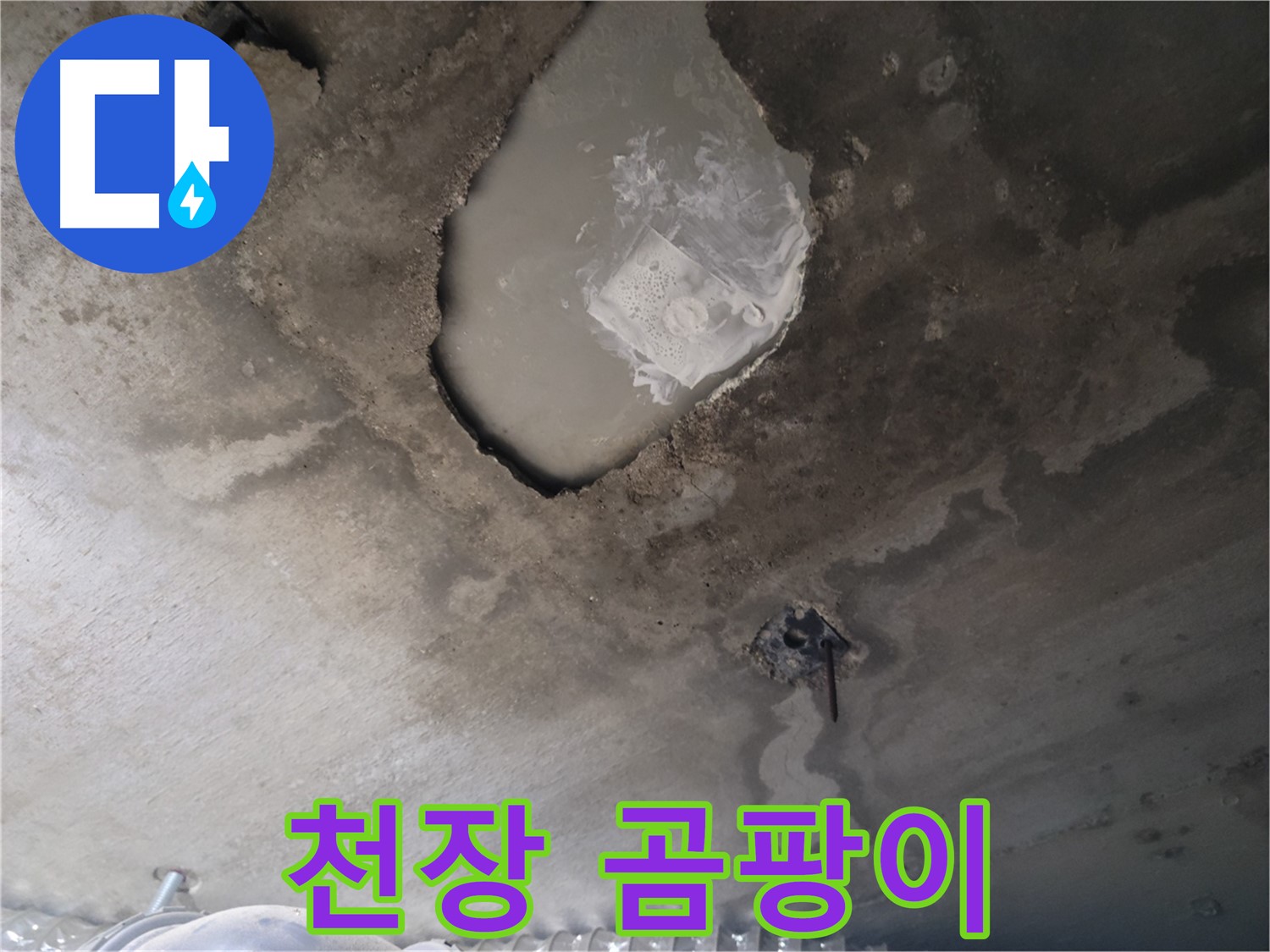 천장 곰팡이 - 건강에 해로운 곰팡이 주의
