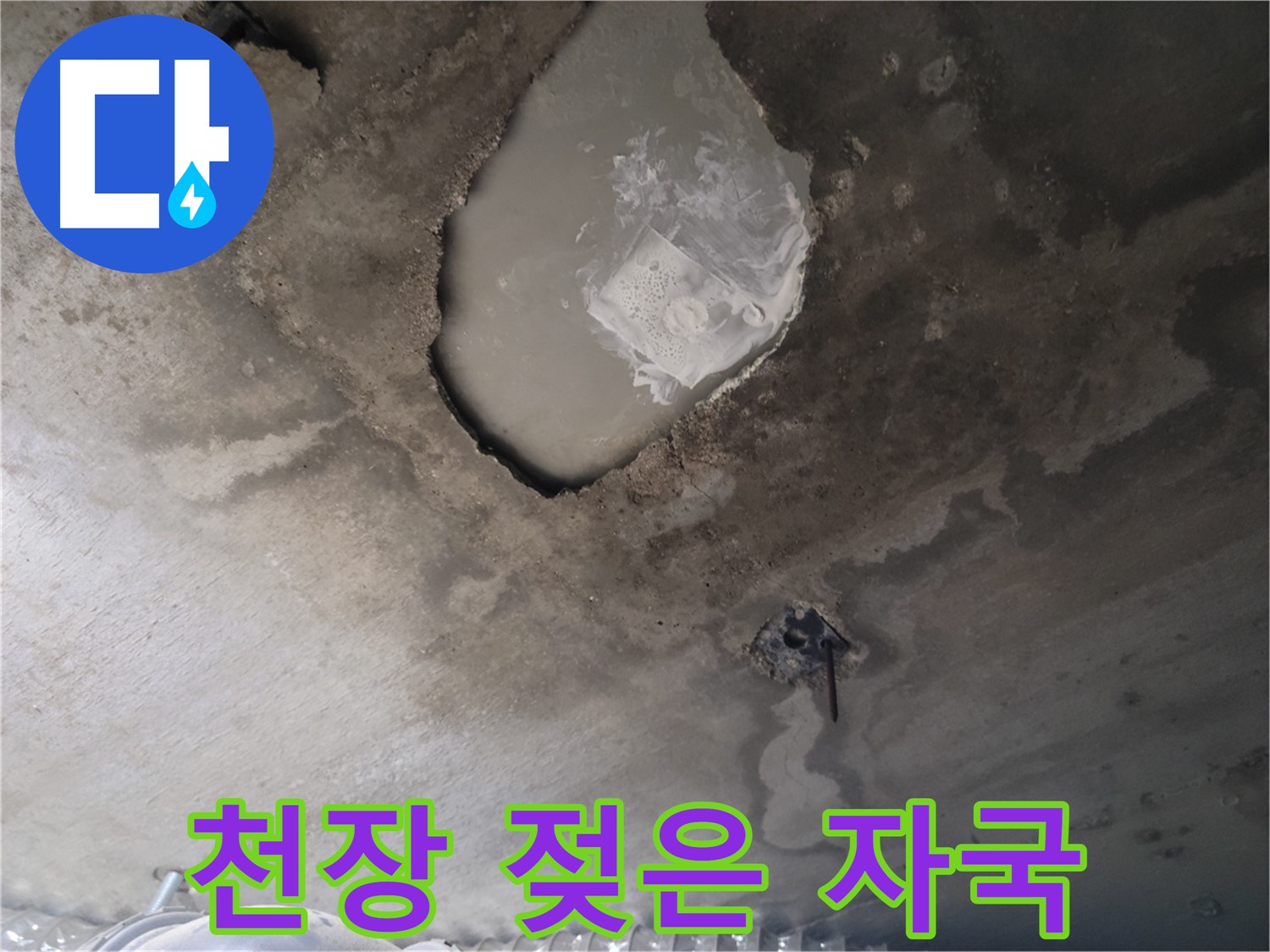 천장 젖은 자국 - 누수 진단 필수