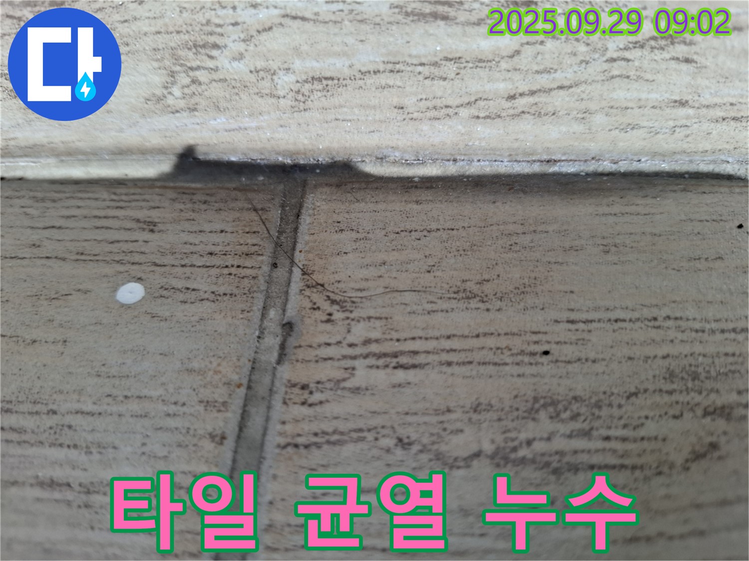 양주시 누수 - 타일 균열을 통한 누수, 첨단 장비와 기술력으로 완벽하게 해결합니다.