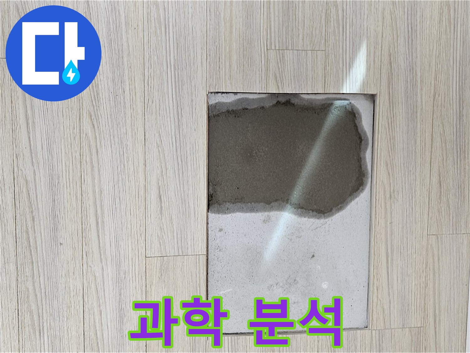 도봉구 도봉동 현대시티 마루 곰팡이 - 과학적인 분석