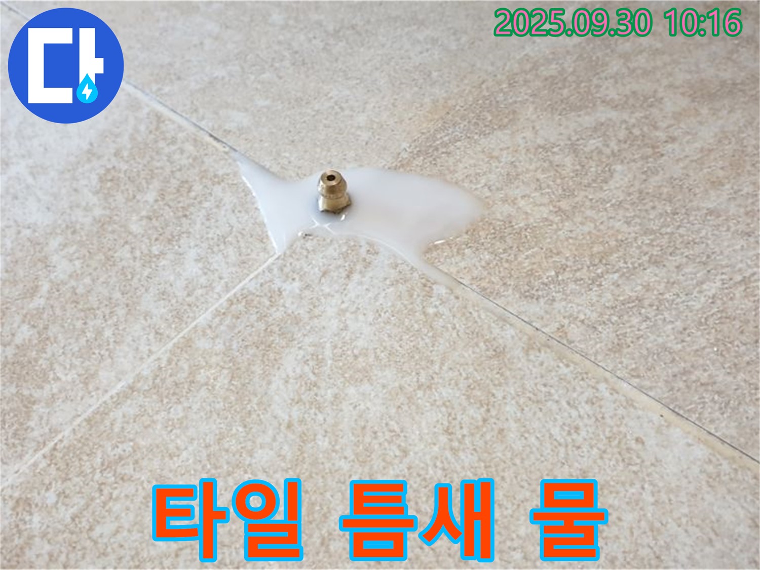 양주시 광적면 석우리 누수 현장 - 타일 틈새에서 물이 스며 나오는 모습입니다.