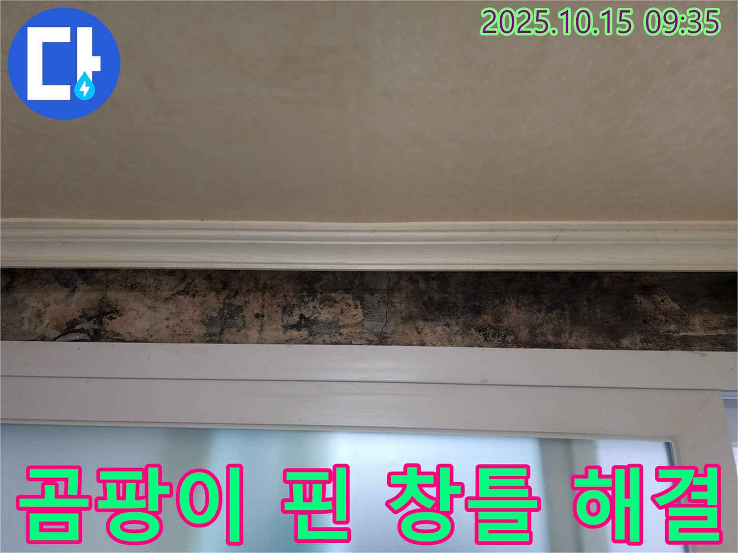 공릉동 누수 - 곰팡이 핀 창틀 완벽 해결 및 누수 원인 제거