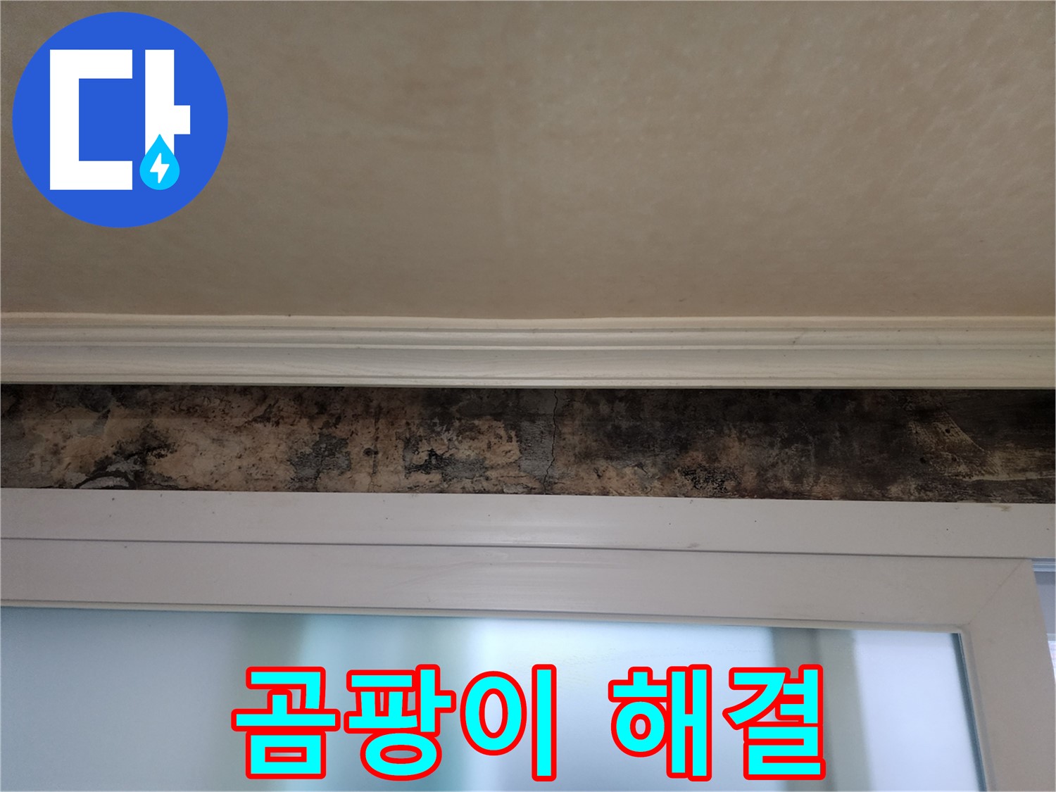 공릉동 누수 해결 - 창틀 곰팡이 제거 및 누수 방지 완벽 시공