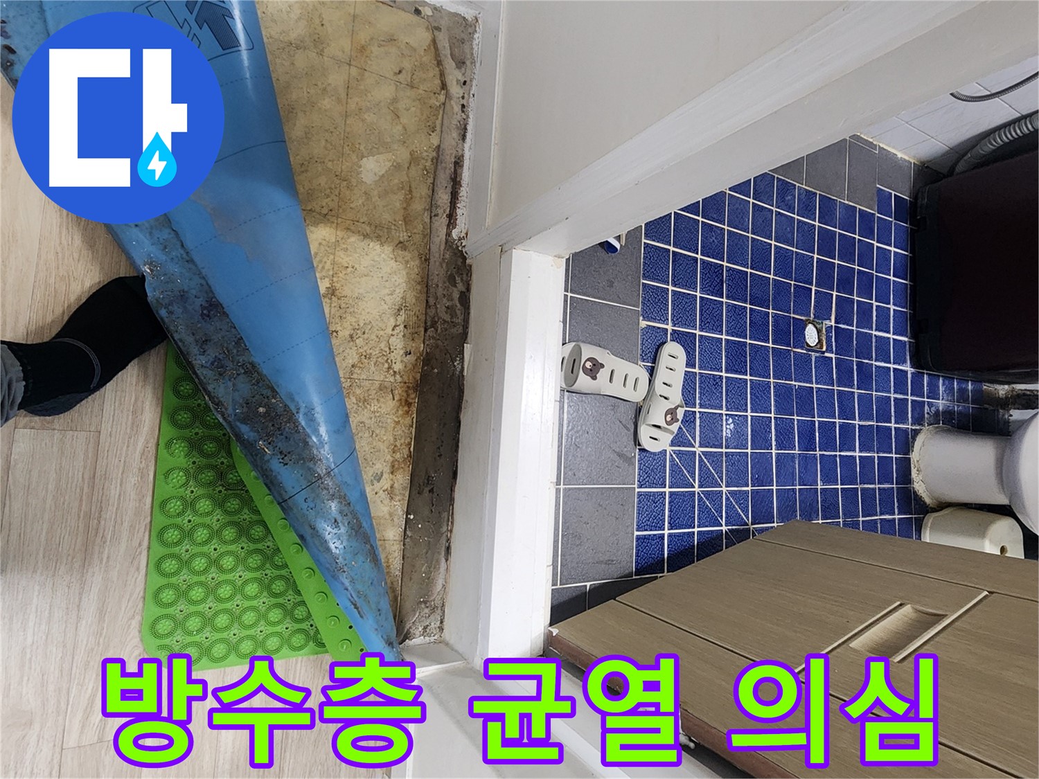 노원구 화장실 누수 - 방수층 균열 의심, 장판 아래 습기와 곰팡이