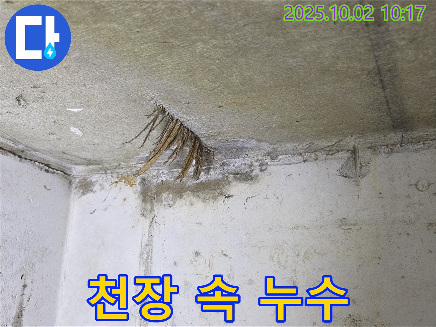 남면 신산리 누수 - 천장 속에 숨겨진 누수! 꼼꼼한 점검과 완벽한 해결
