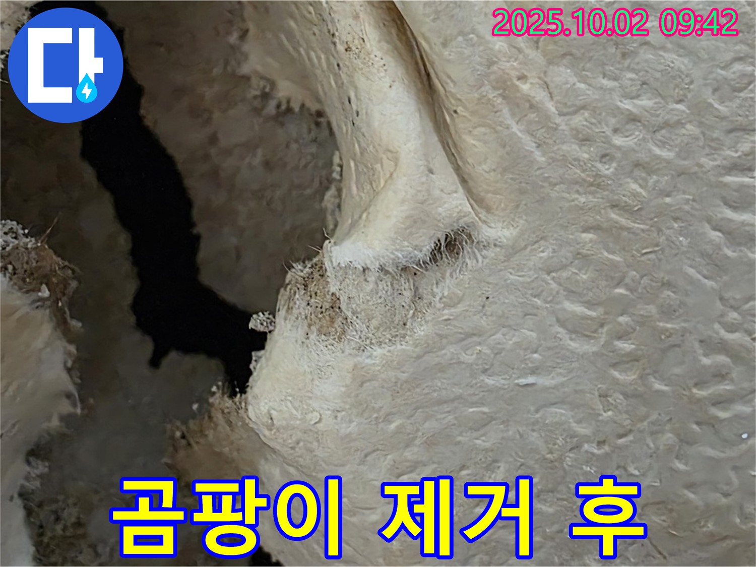 양주시 남면 신산리 주택 곰팡이 제거 후 - 깨끗하게 제거된 곰팡이와 함께 쾌적한 환경이 되었습니다.