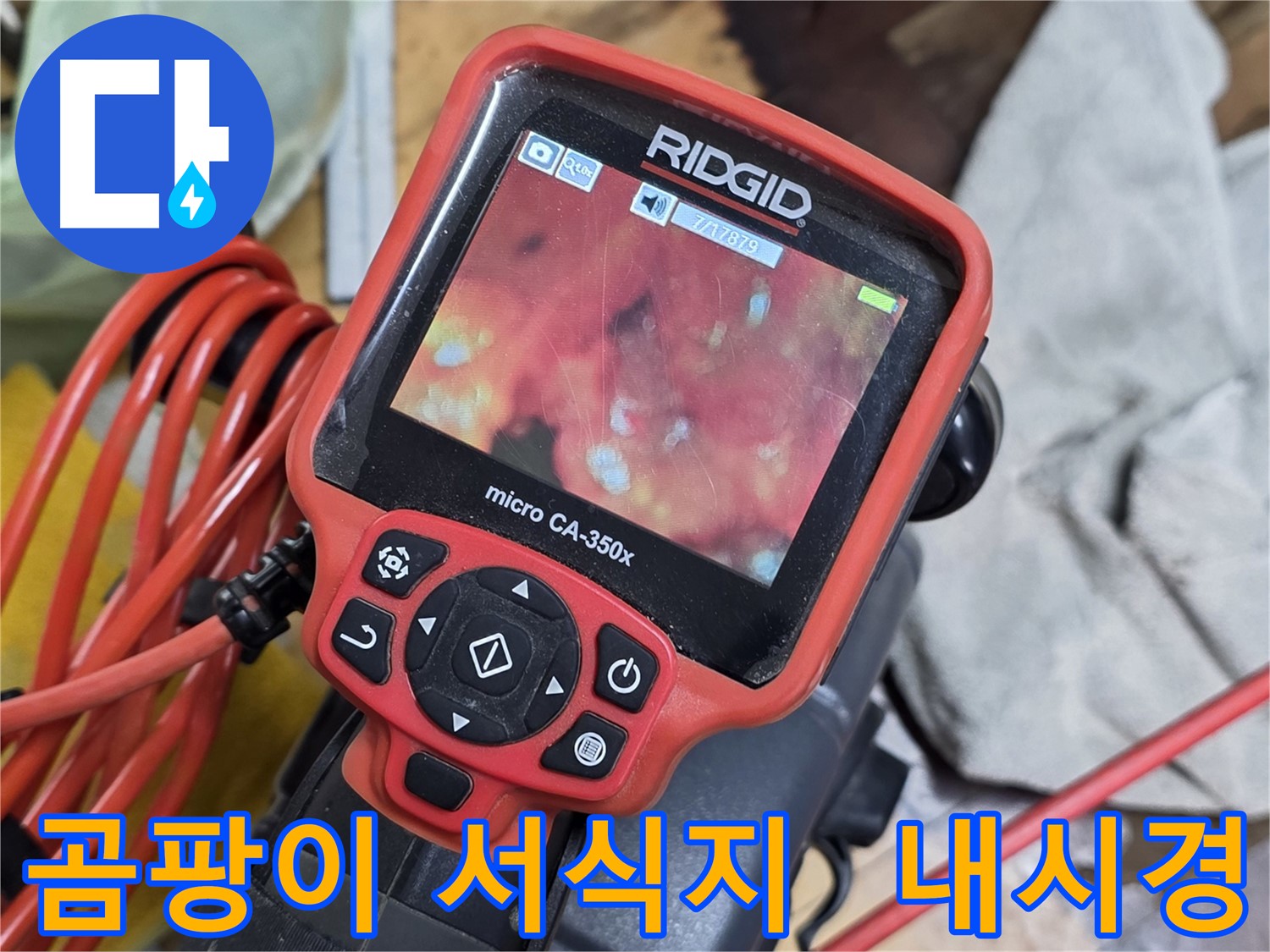 배관 내시경으로 확인한 곰팡이 서식지 - 누수 흔적