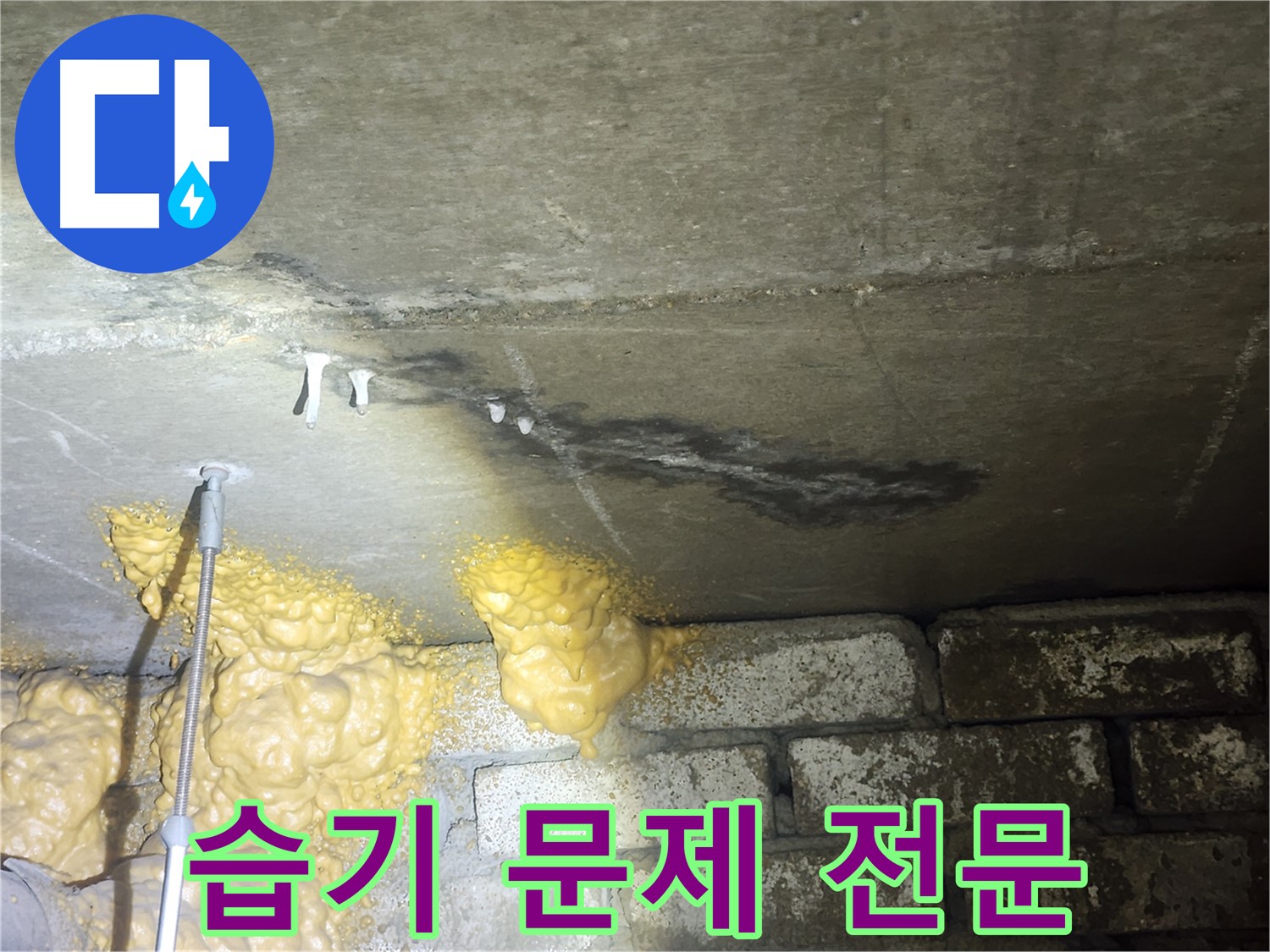 래미안당산1차 누수 - 습기 문제 해결 전문 업체의 맞춤형 해결책 및 지속적인 관리