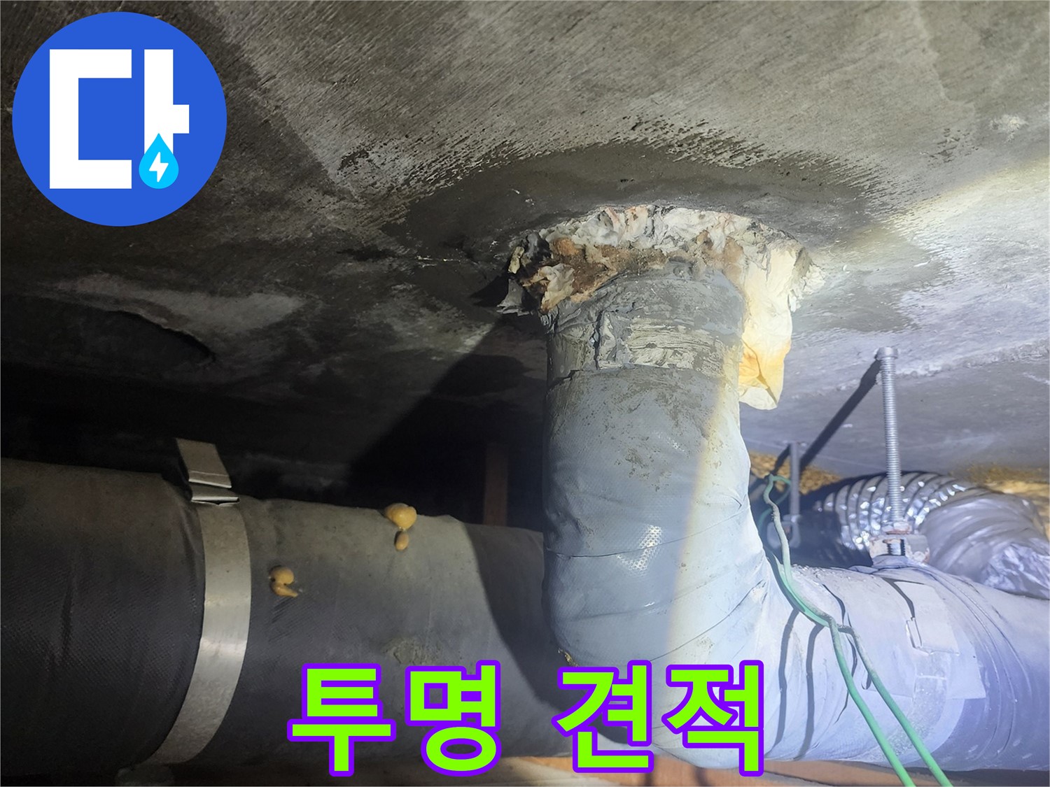 영등포구 당산동 누수 - 투명한 견적, 믿음직한 업체